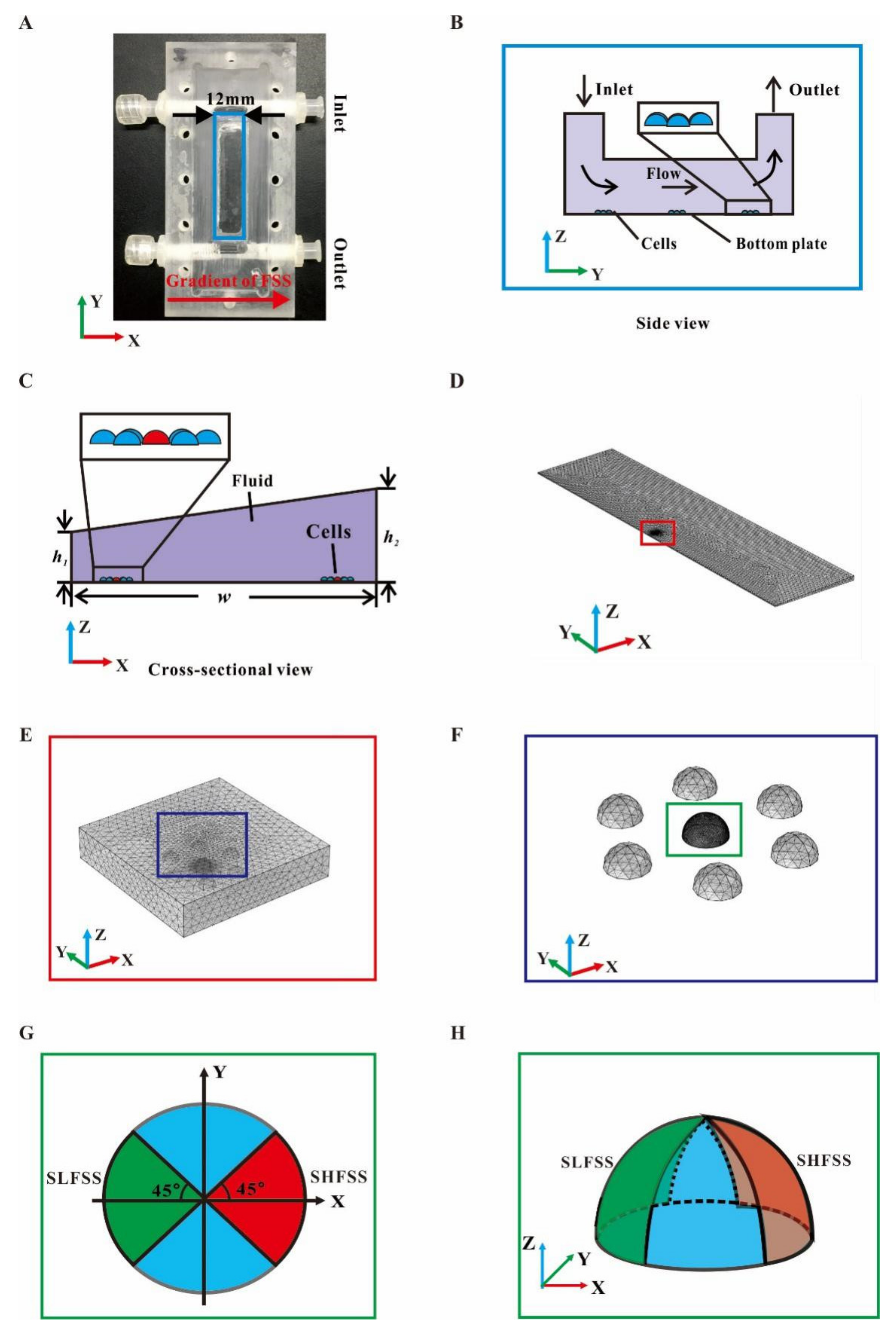 Applsci 11 10021 g001 Applsci 11 10021 g001