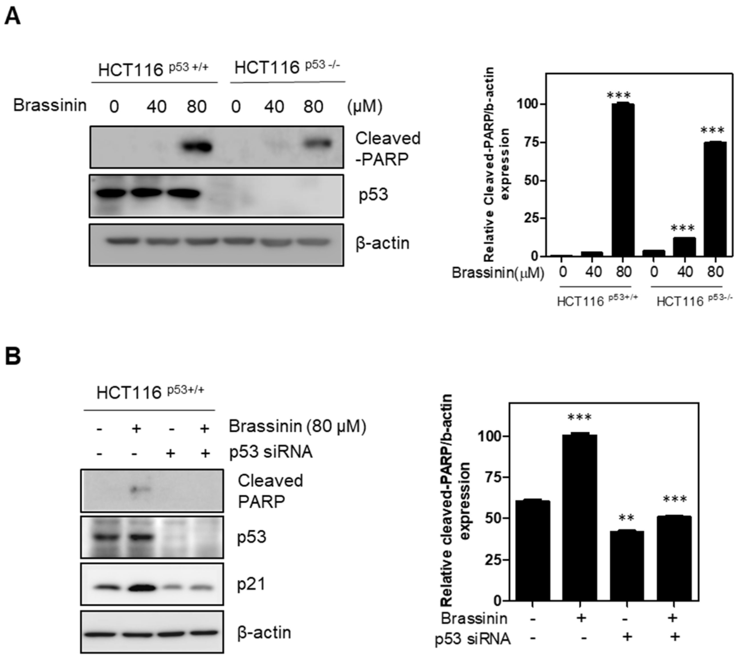 Applsci 11 10036 g002