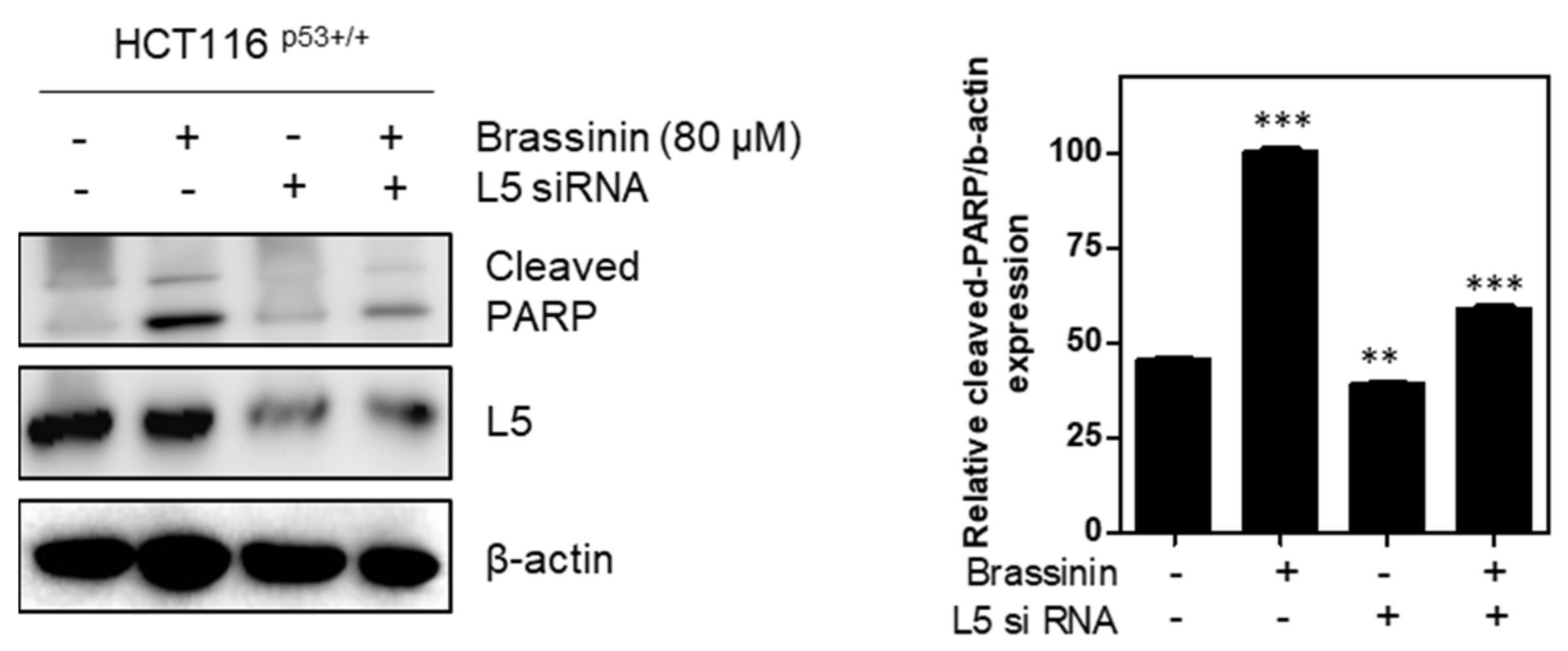 Applsci 11 10036 g003