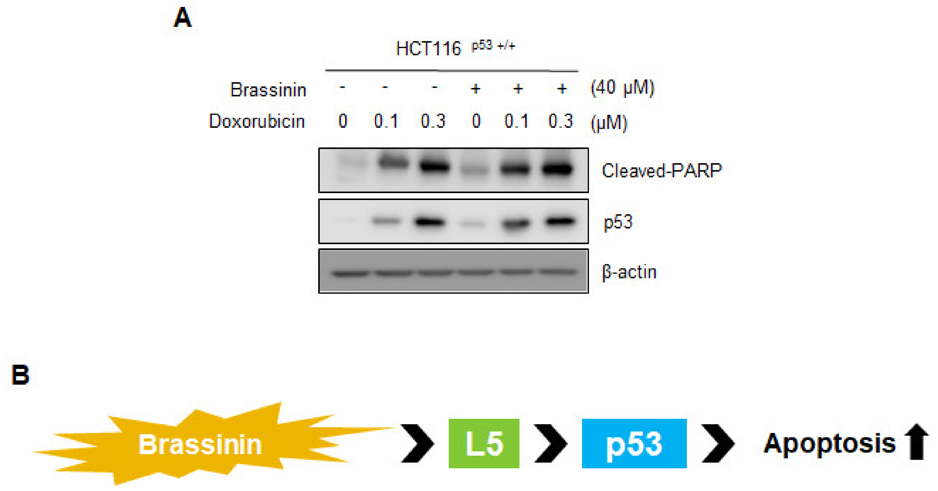 Applsci 11 10036 g006