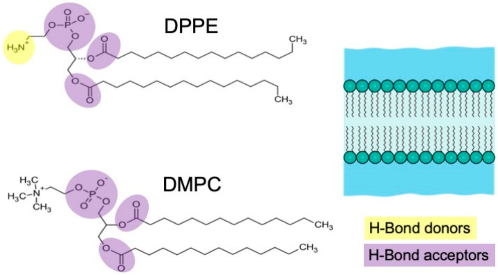 Applsci 11 10038 g001 550