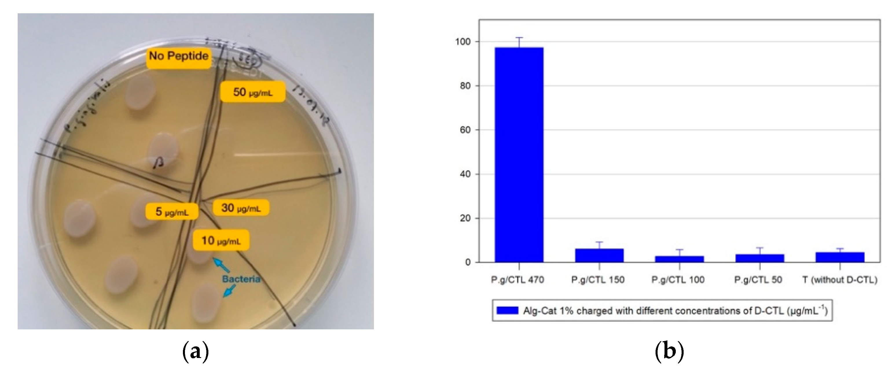 Applsci 11 10050 g003 550