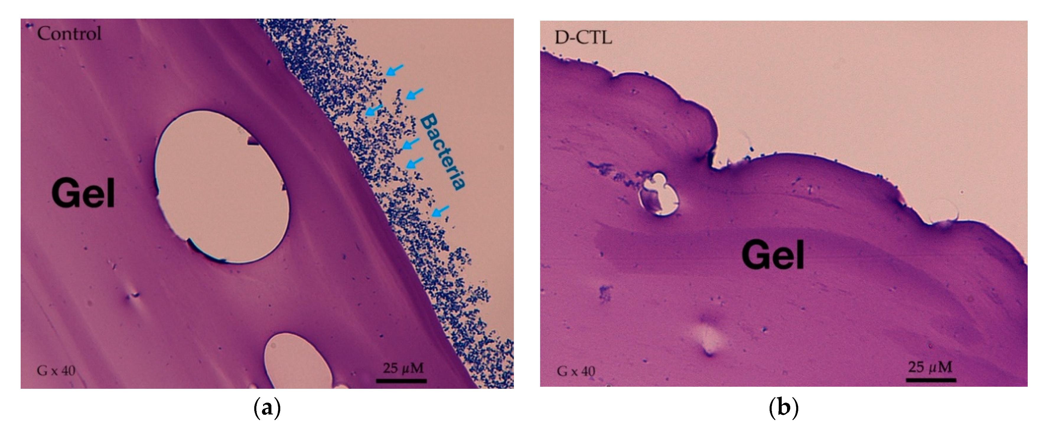 Applsci 11 10050 g005 550