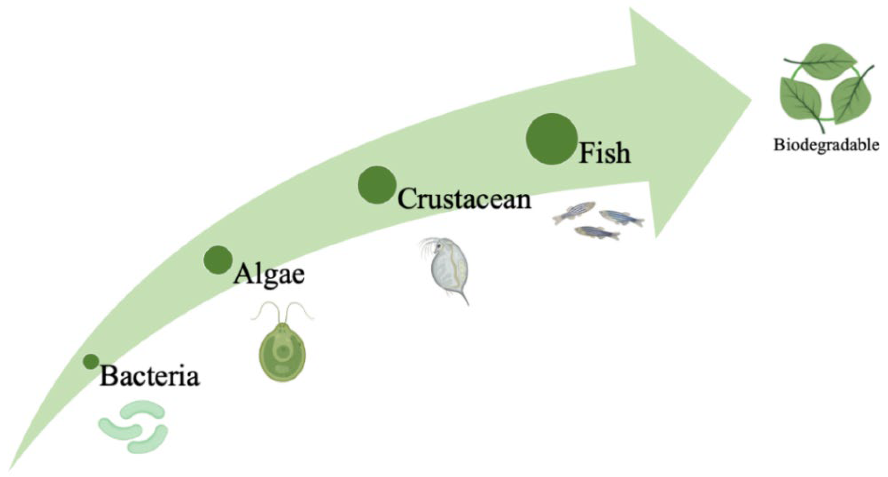 Applsci 11 10061 g004