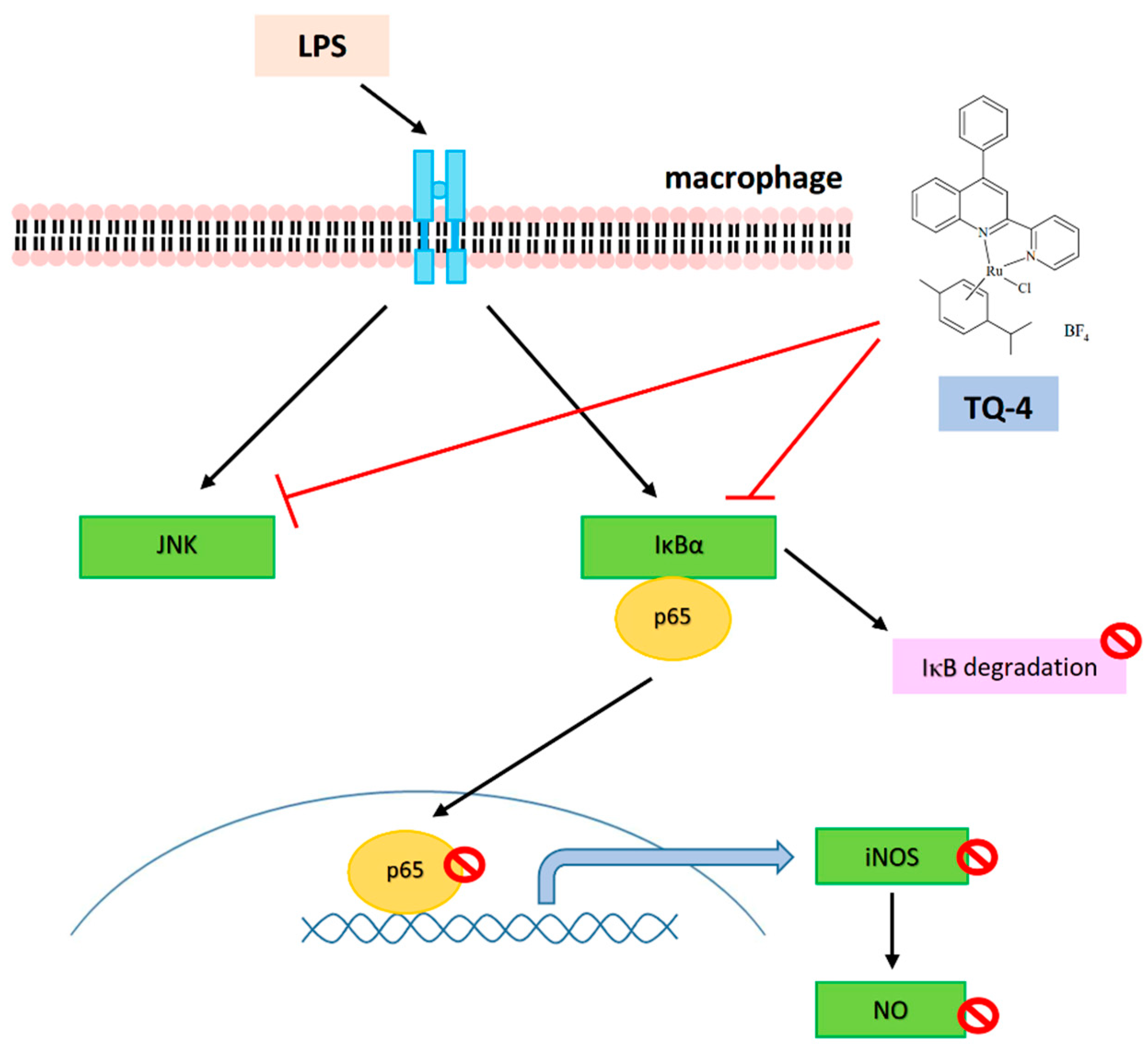 Applsci 11 10092 g002