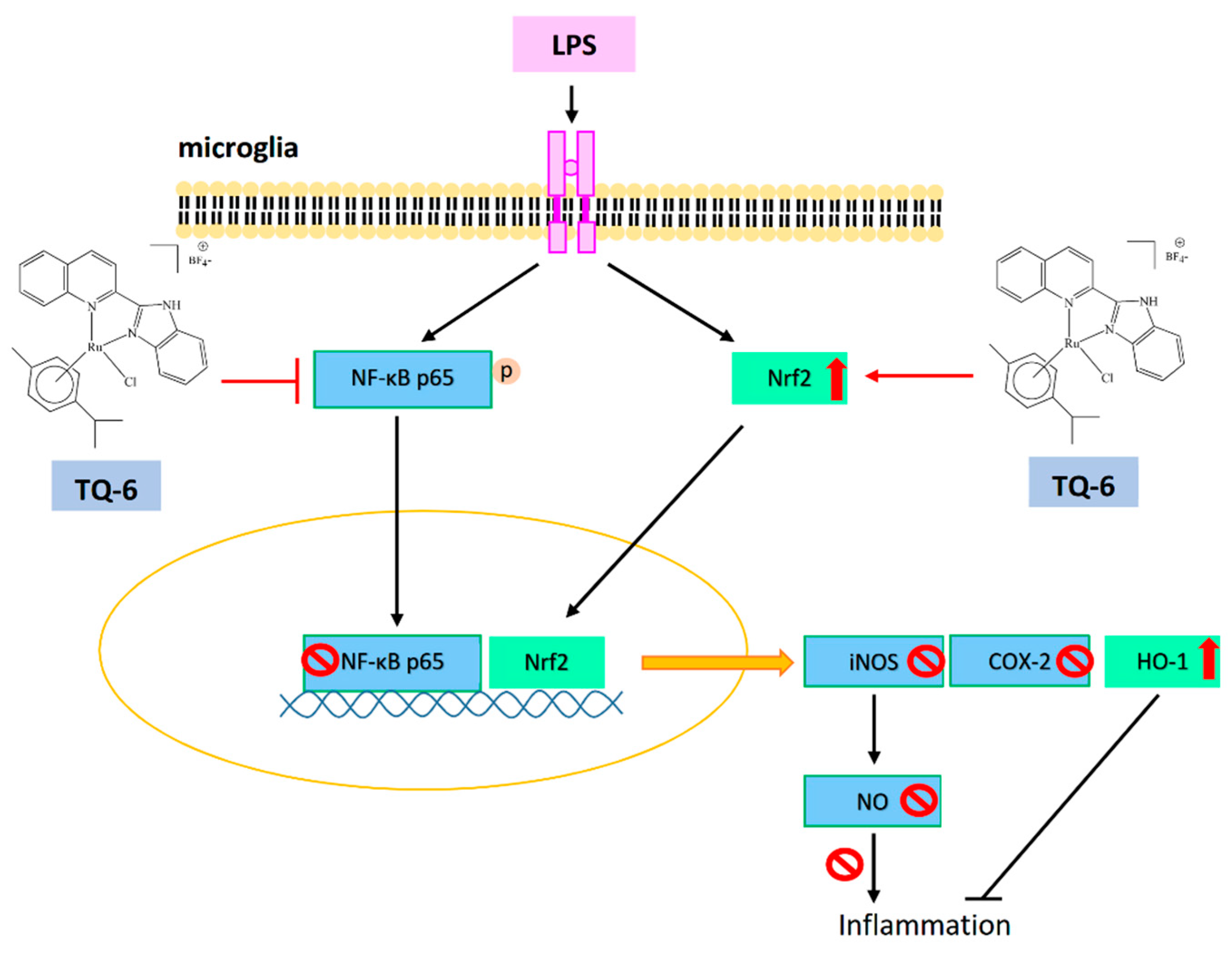 Applsci 11 10092 g003