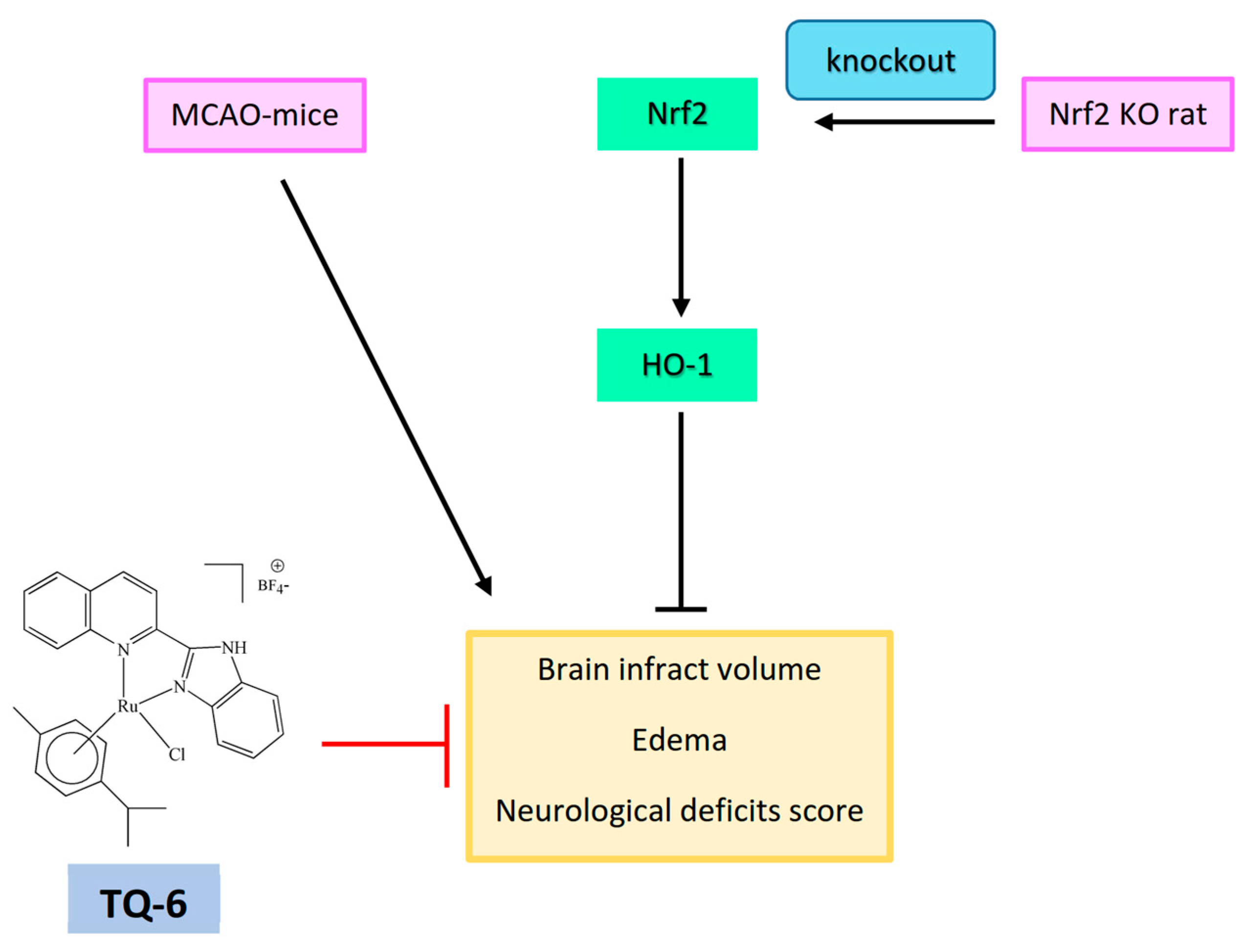 Applsci 11 10092 g005
