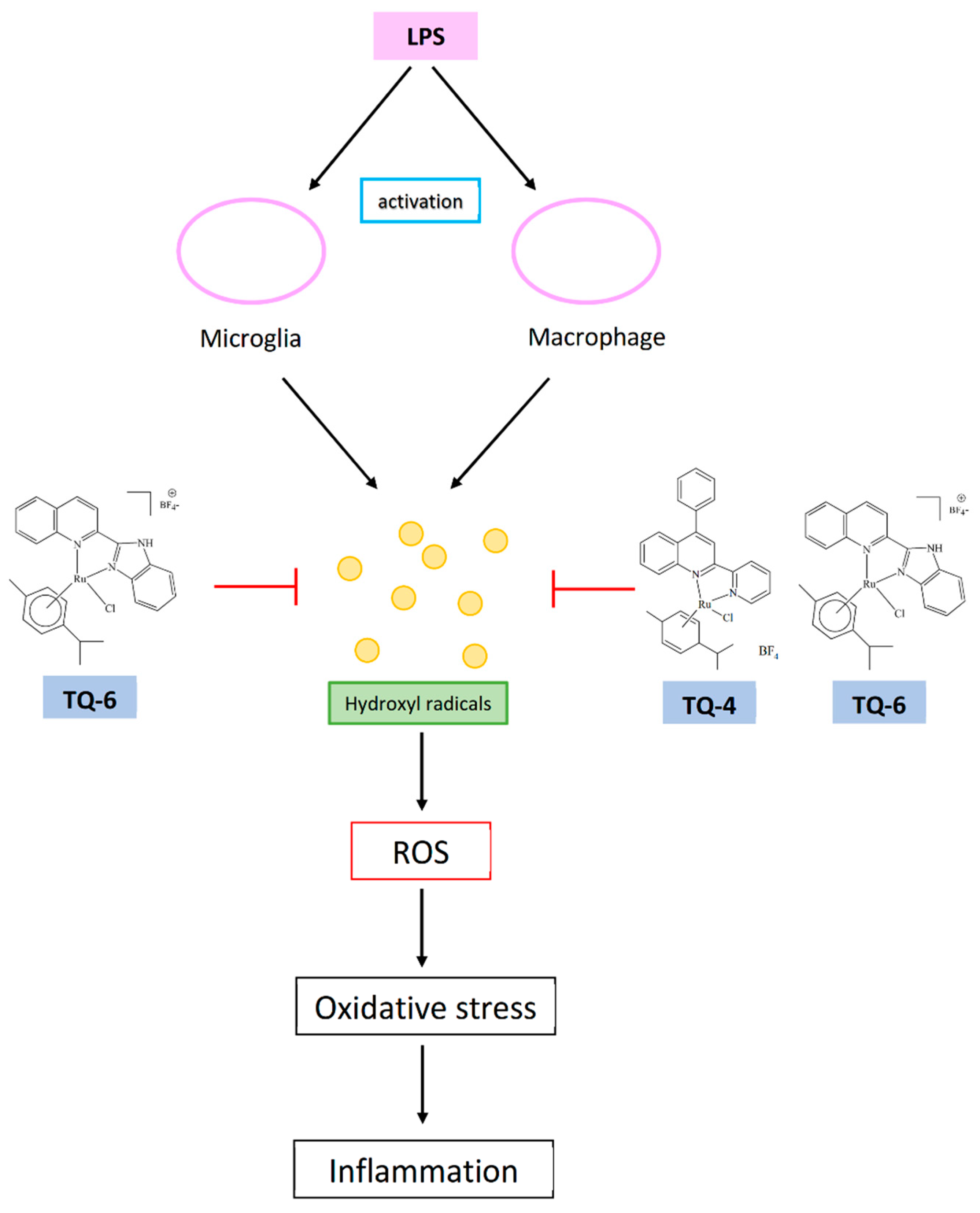 Applsci 11 10092 g006