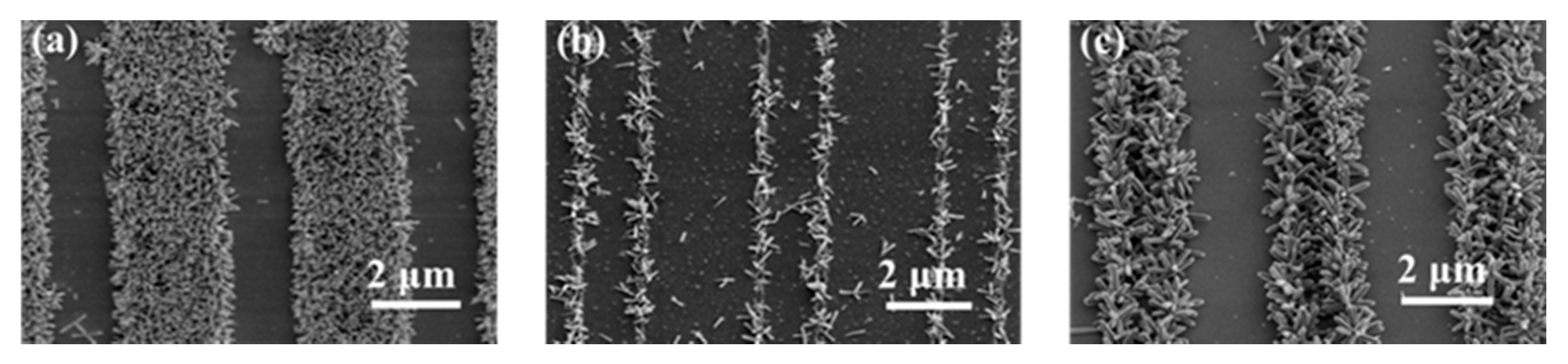 Applsci 11 10097 g005 550