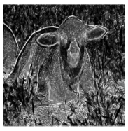 Applsci 11 10106 i013