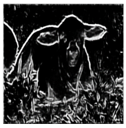 Applsci 11 10106 i014