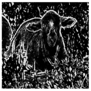 Applsci 11 10106 i018