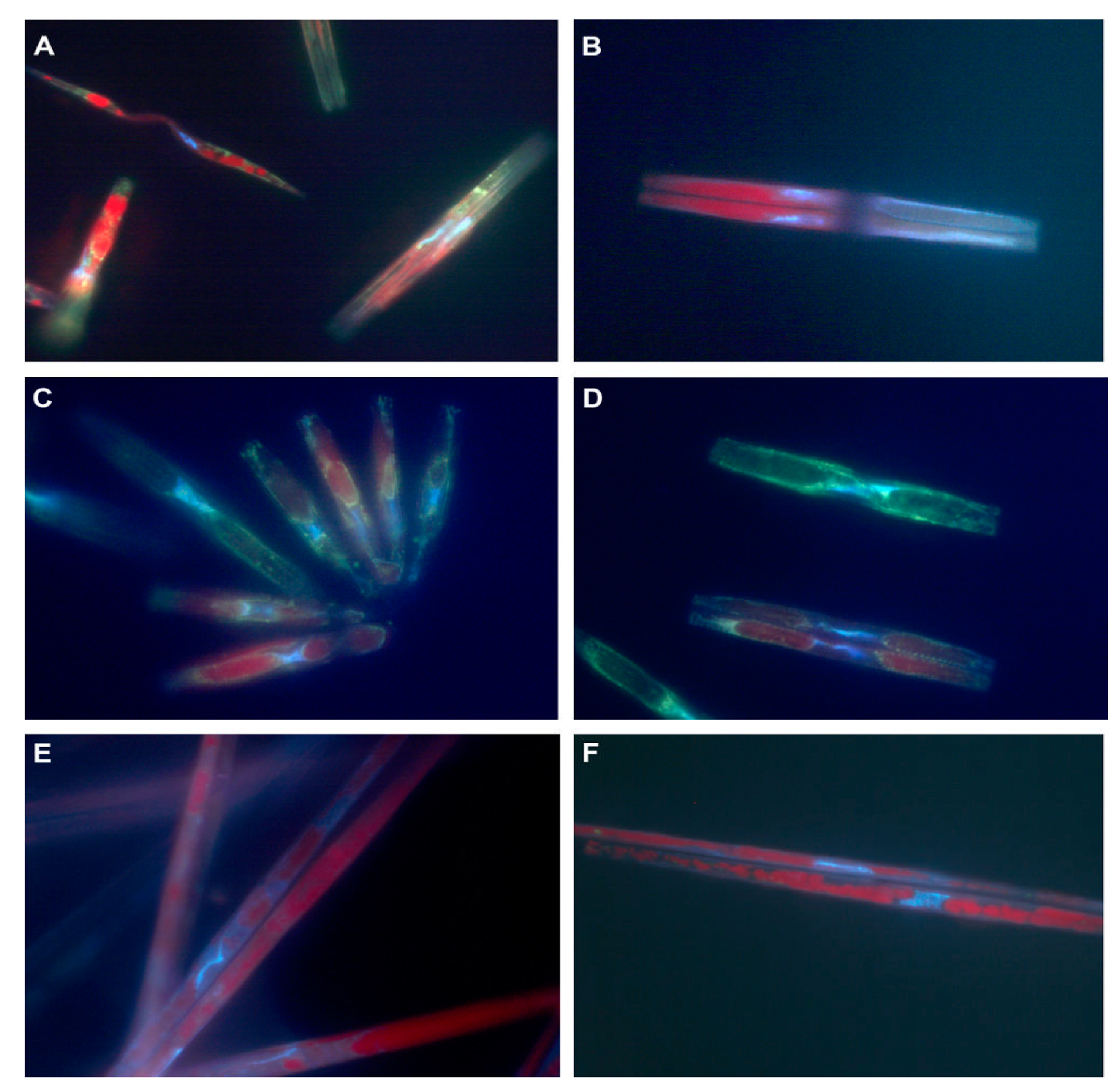 Applsci 11 10131 g003 550