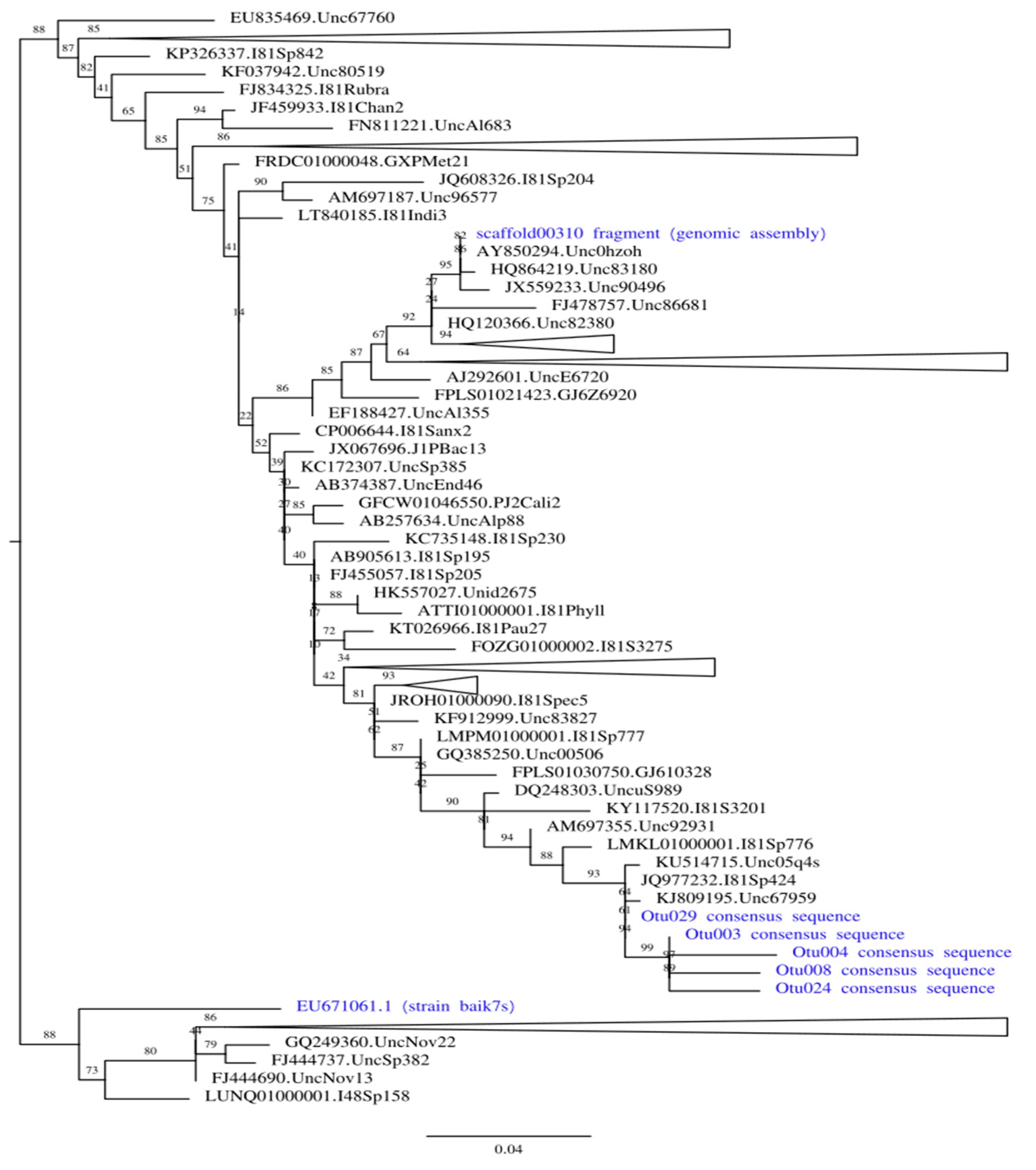 Applsci 11 10131 g004 550