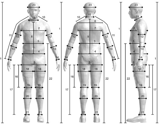 Personalization of a Human Body Model Using Subject-Specific 