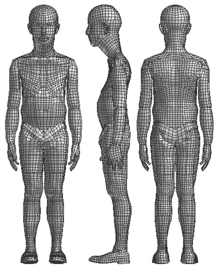 Personalization of a Human Body Model Using Subject-Specific 