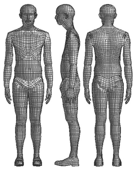 Personalization of a Human Body Model Using Subject-Specific 