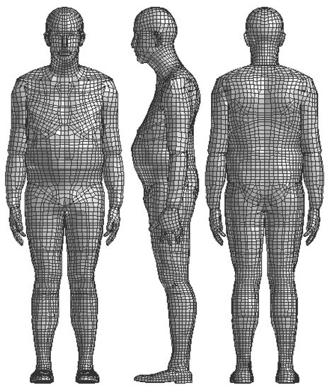 Personalization of a Human Body Model Using Subject-Specific 