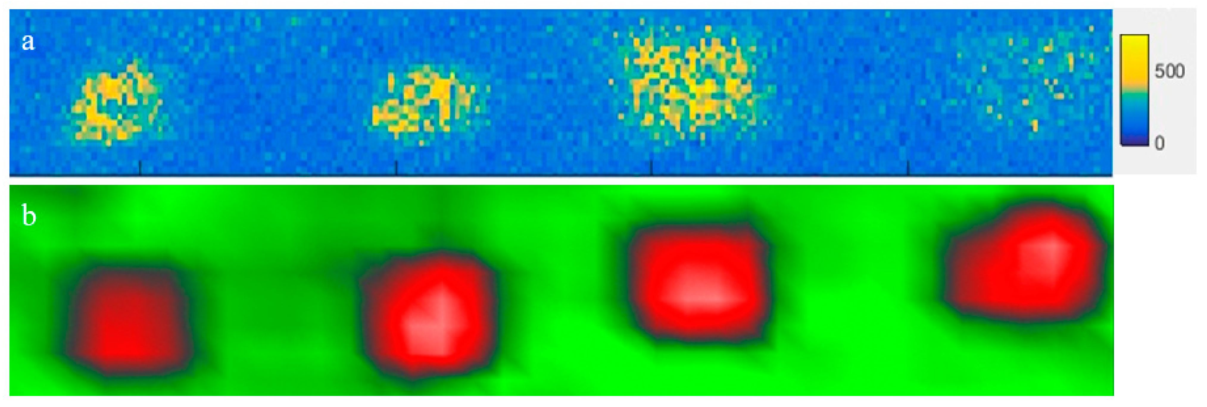 Applsci 11 10141 g016 550