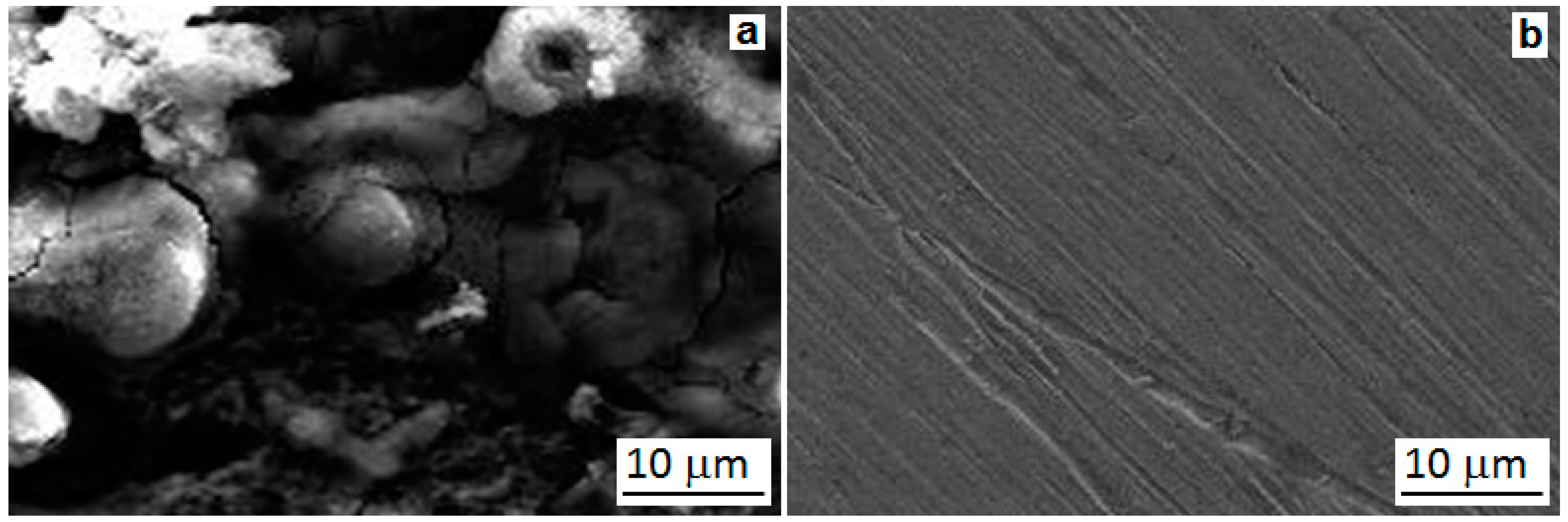 Applsci 11 10150 g005 550