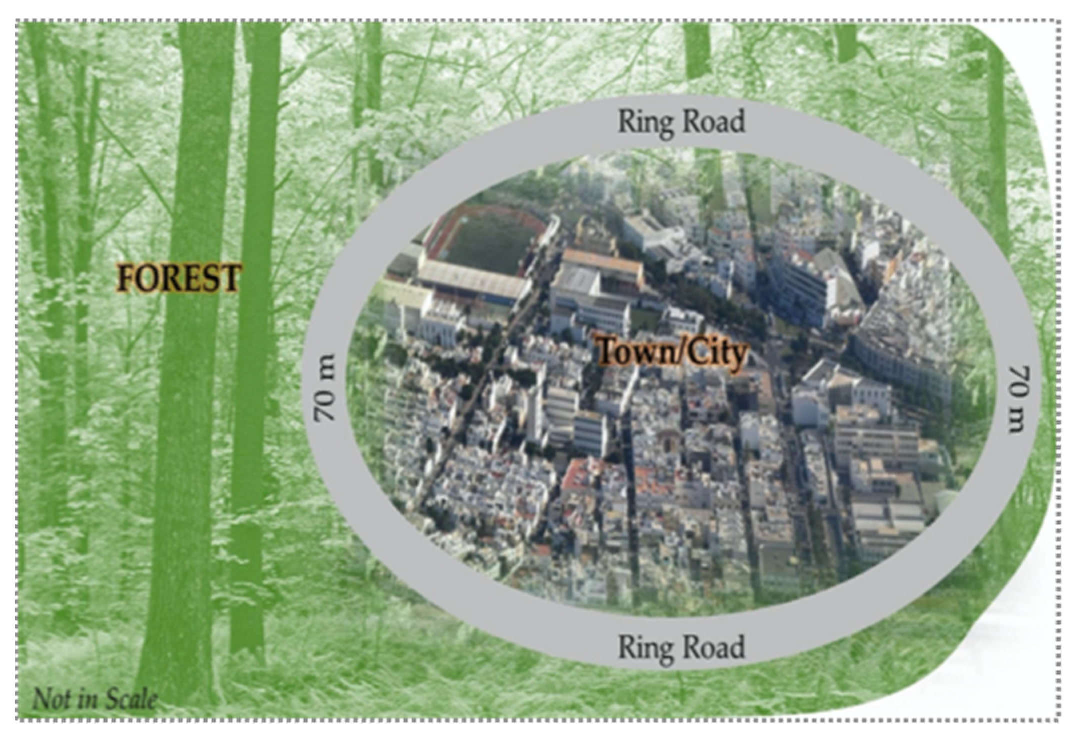 Applsci 11 10155 g006 550