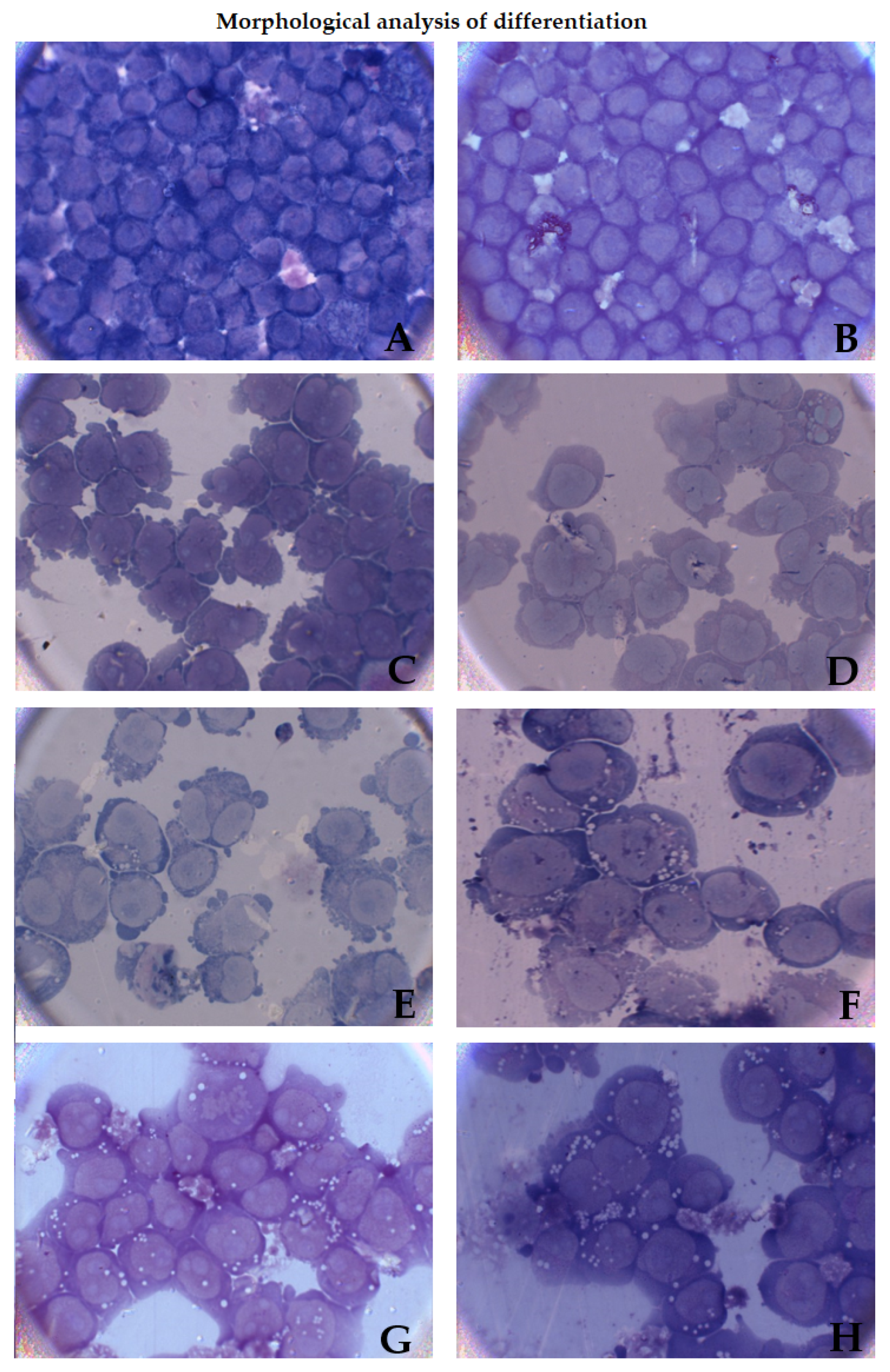 Applsci 11 10199 g004 Applsci 11 10199 g004