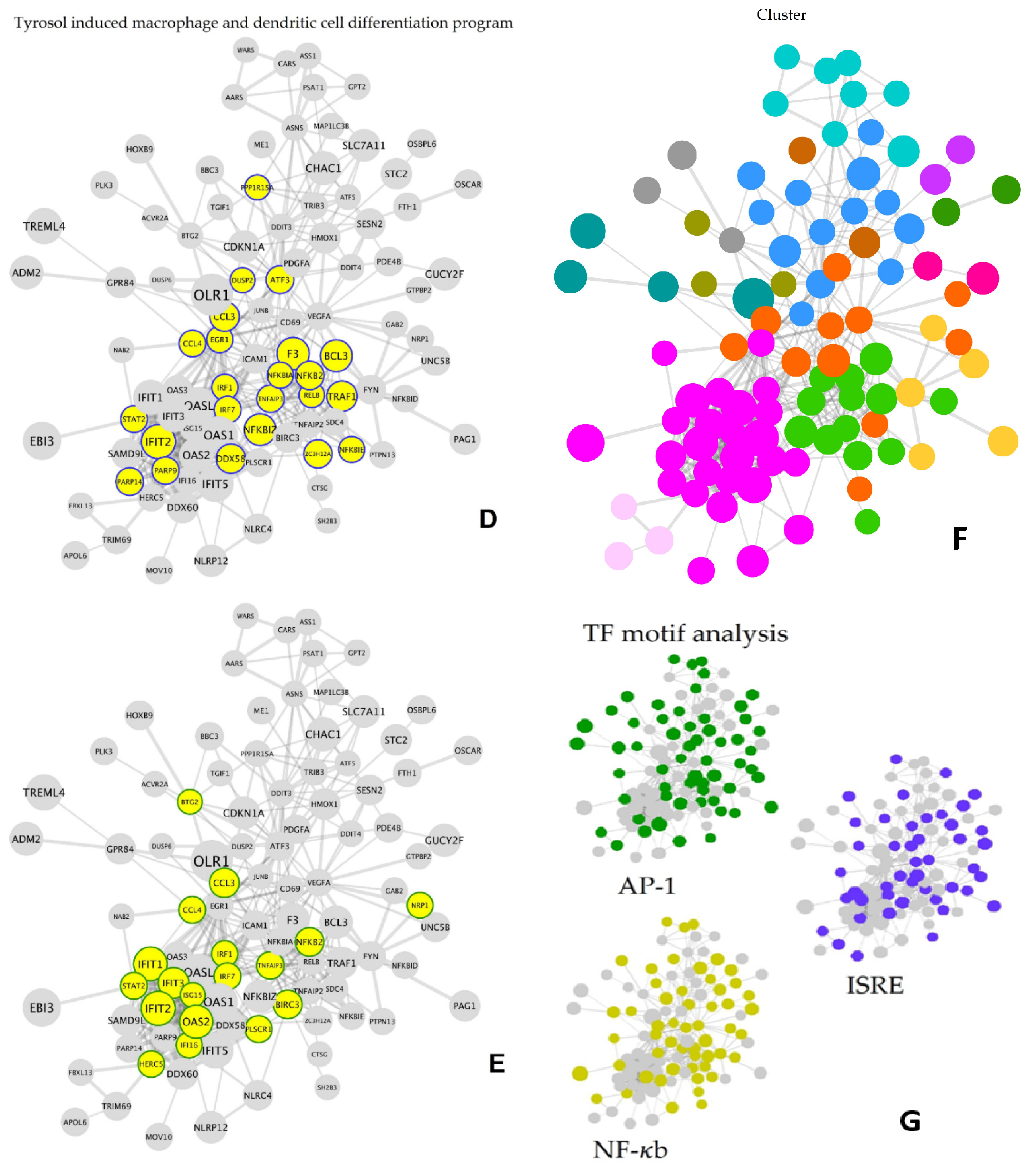 Applsci 11 10199 g008b Applsci 11 10199 g008b