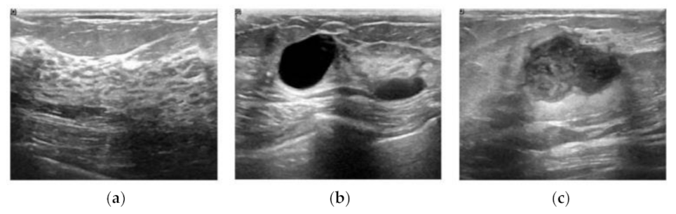 Applsci 11 10216 g001 550