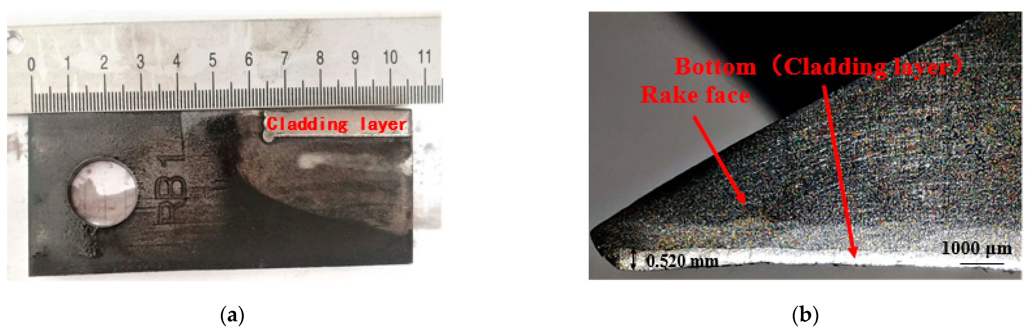 Self-Grinding Silage Knife Strengthened with Ni–WC Alloy