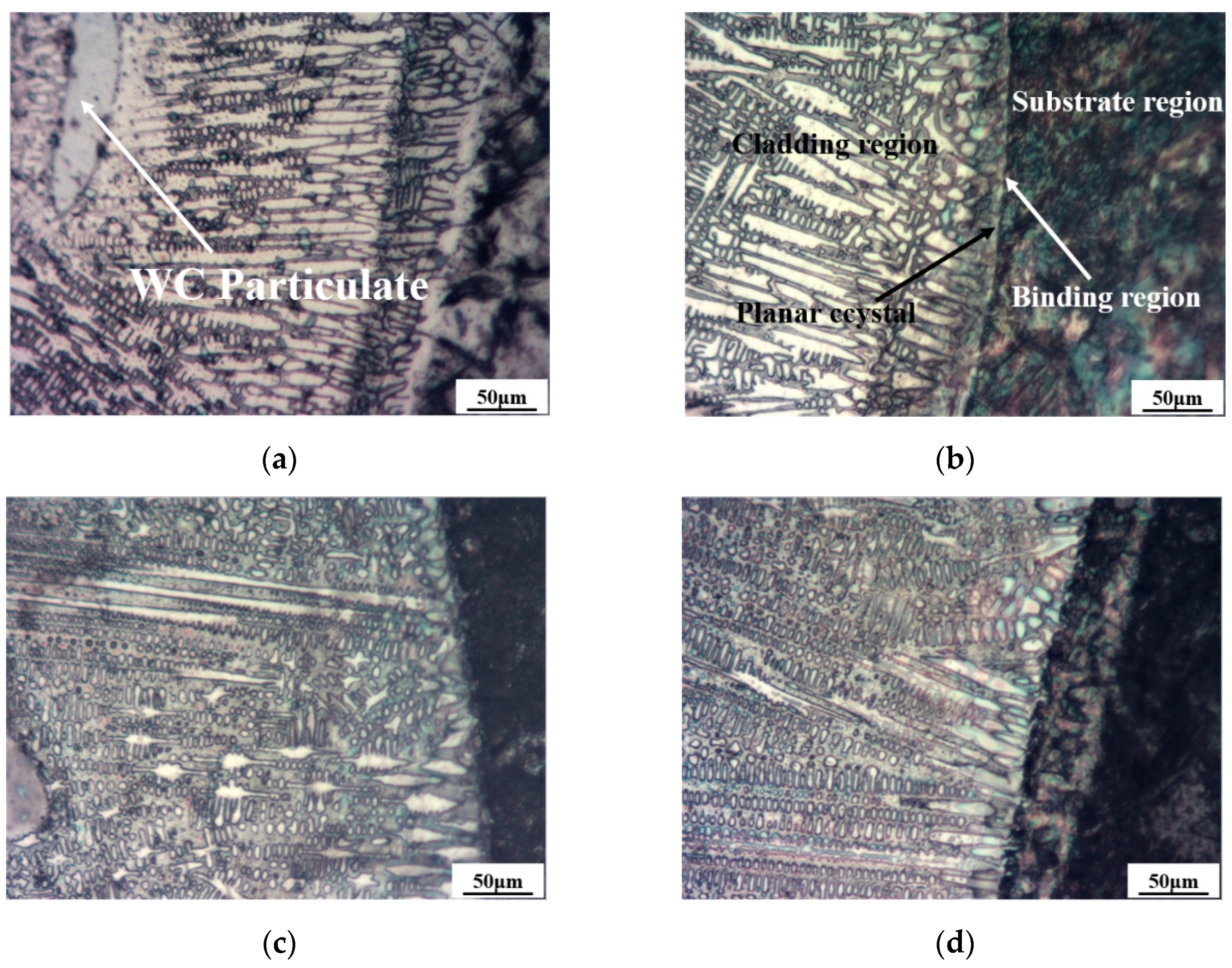 Applsci 11 10236 g005