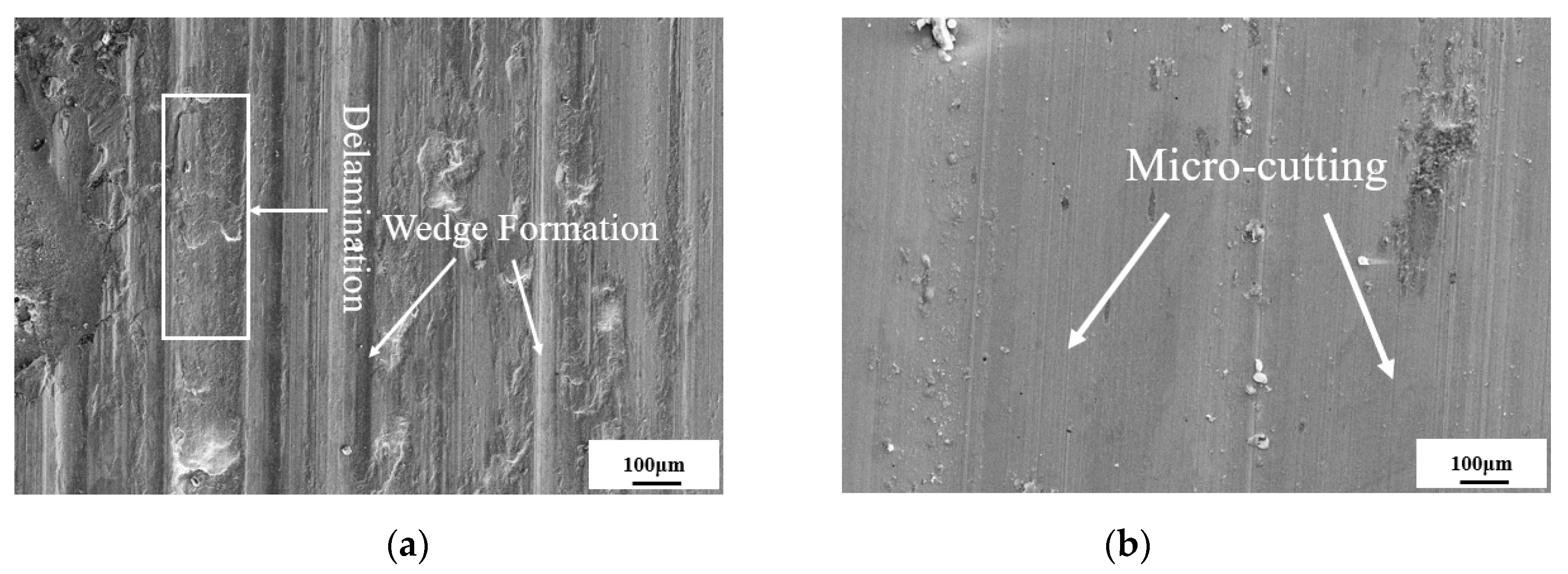 Applsci 11 10236 g013