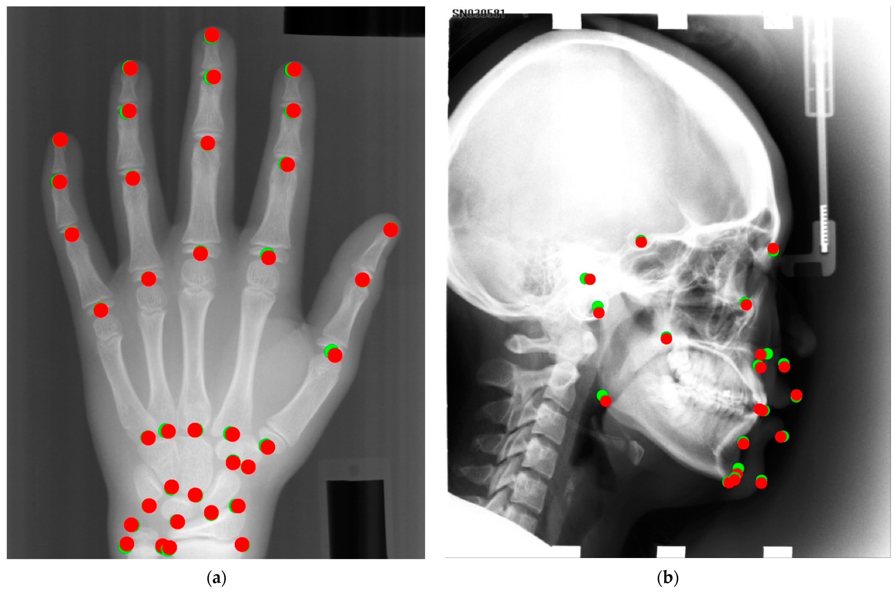 Applsci 11 10277 g006 550