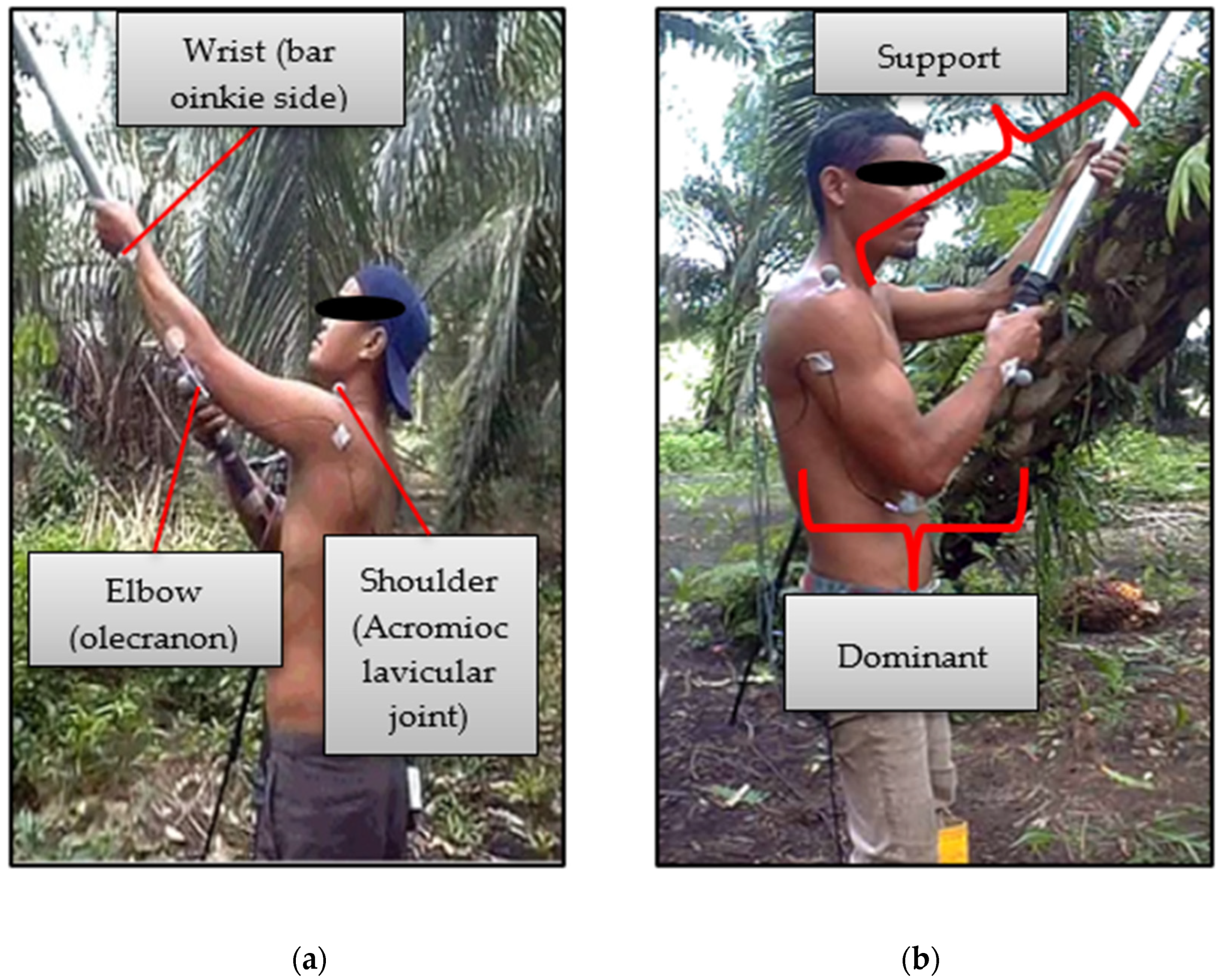 Applsci 11 10280 g002