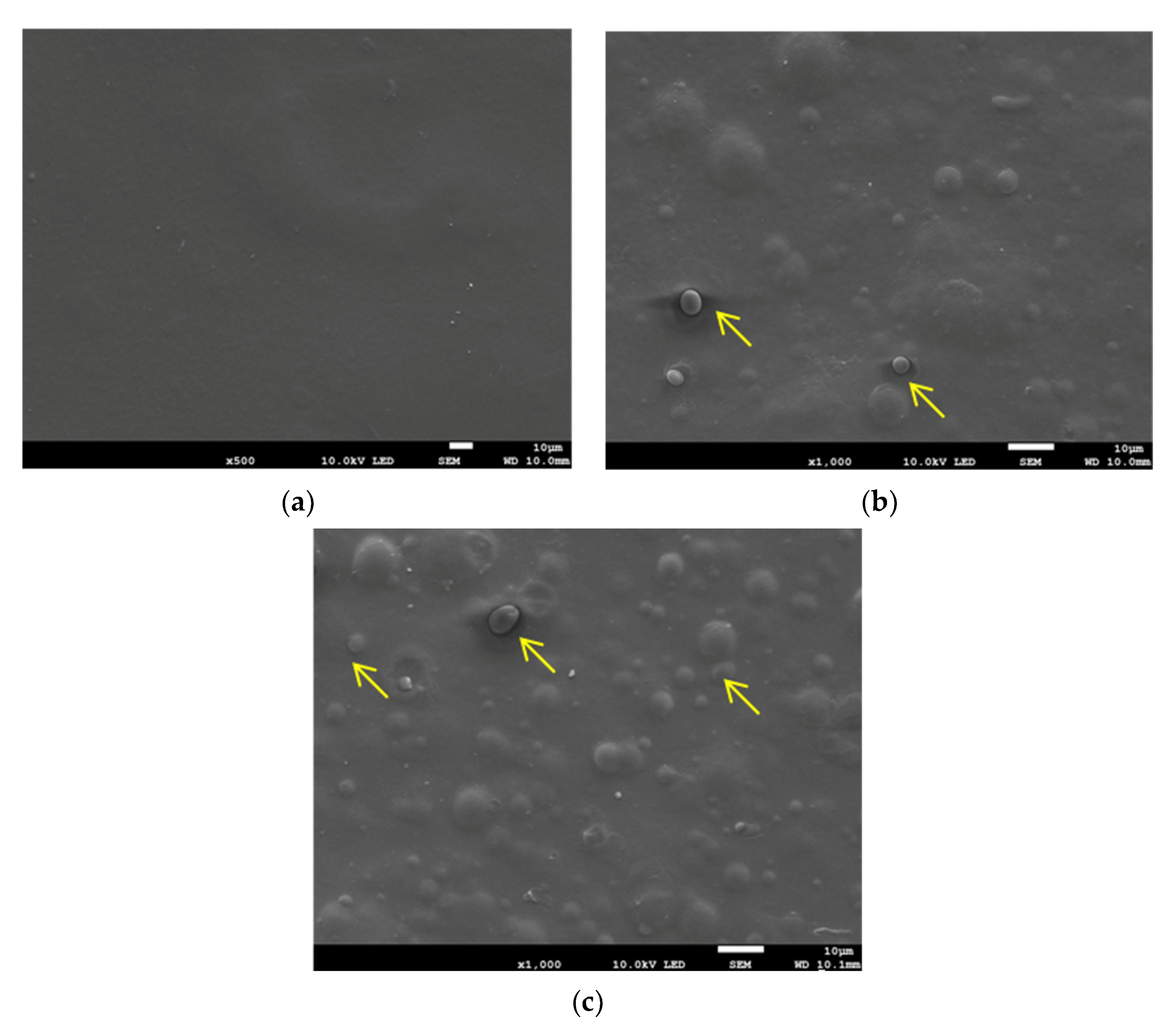 Applsci 11 10290 g003