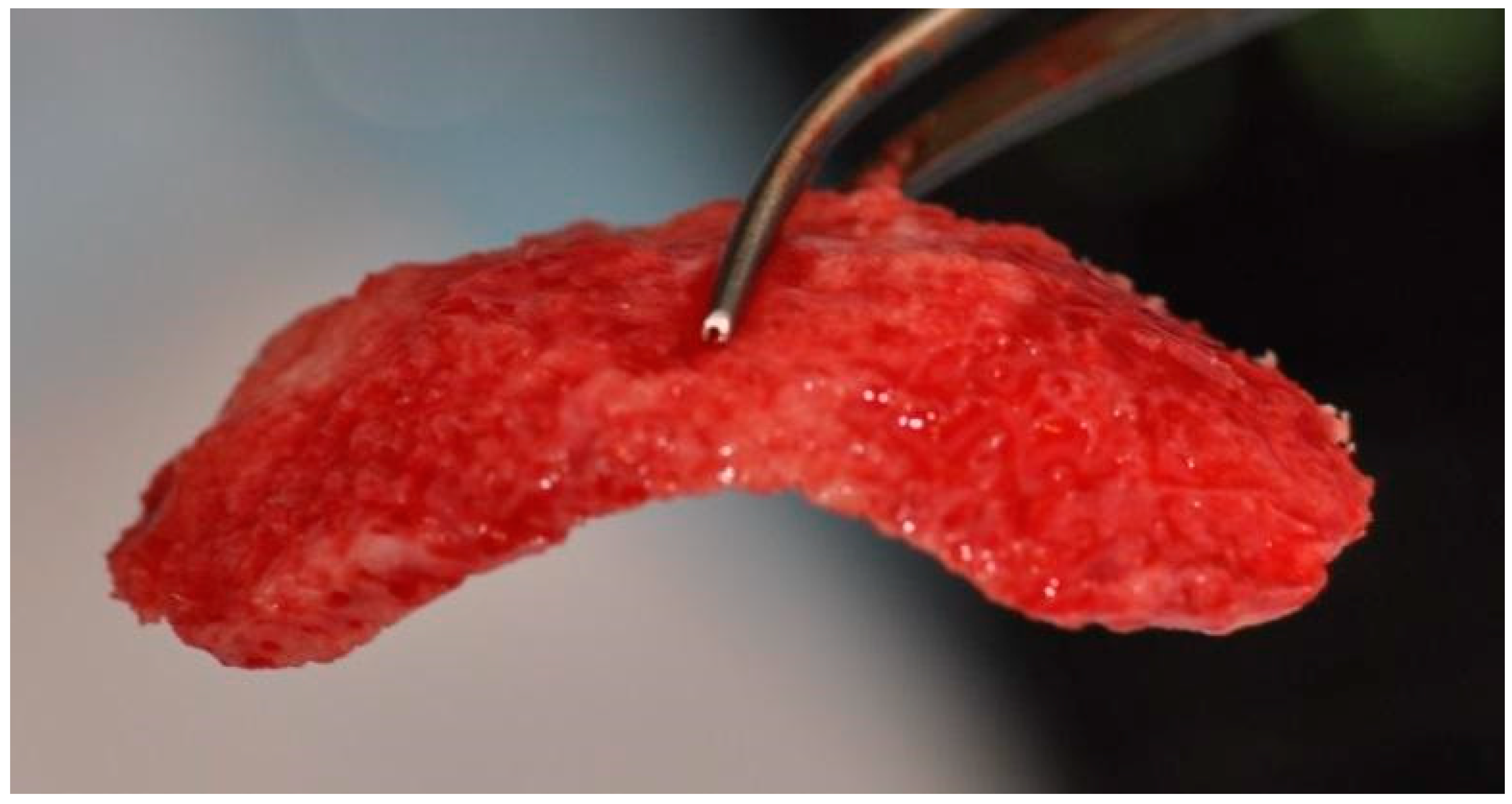 Applsci 11 10299 g006 550