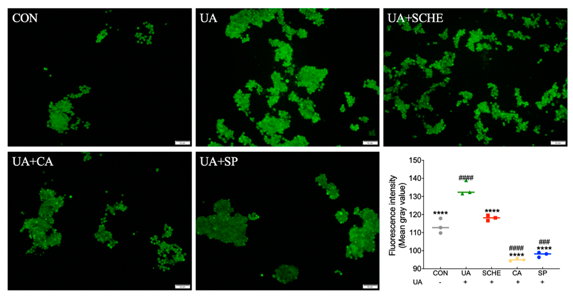 Applsci 11 10306 g003 550
