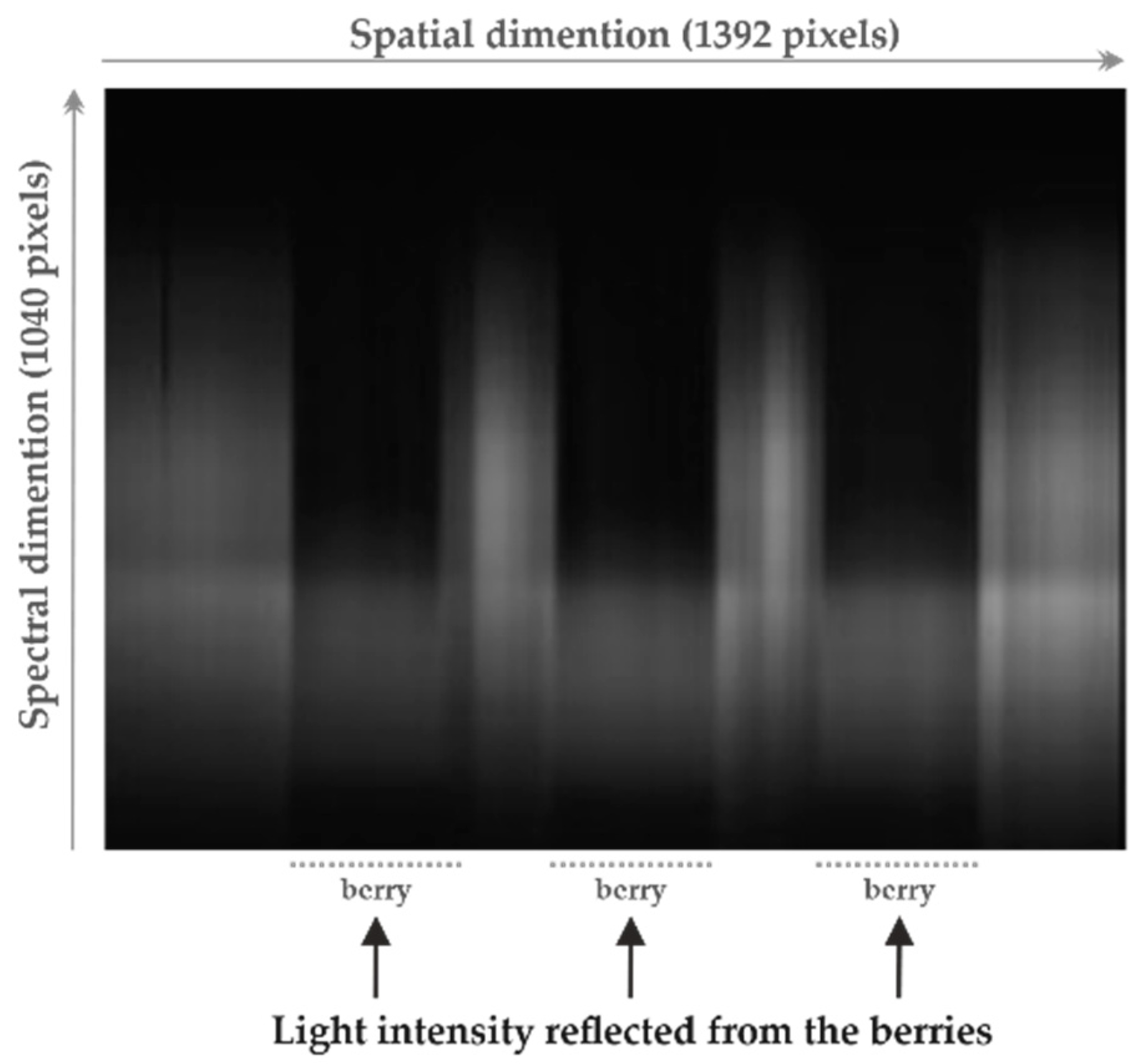 Applsci 11 10319 g001 Applsci 11 10319 g001