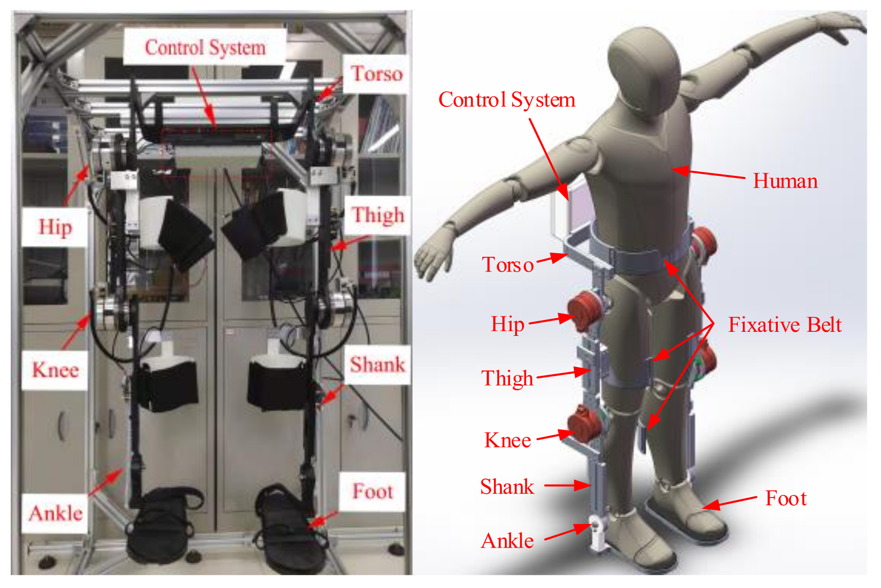 Applied Sciences | Free Full-Text | A Self-Adaptive-Coefficient-Double-Power Sliding Mode Control Method for Lower Limb Rehabilitation Exoskeleton Robot Applied Sciences | Free Full-Text | A Self-Adaptive-Coefficient-Double-Power Sliding Mode Control Method for Lower Limb Rehabilitation Exoskeleton Robot