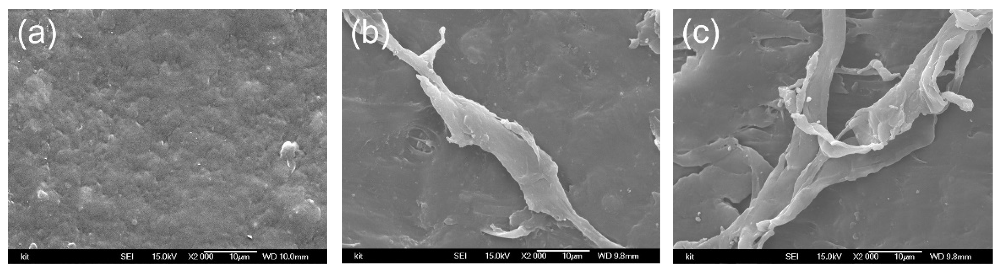 Applsci 11 10340 g008a 550