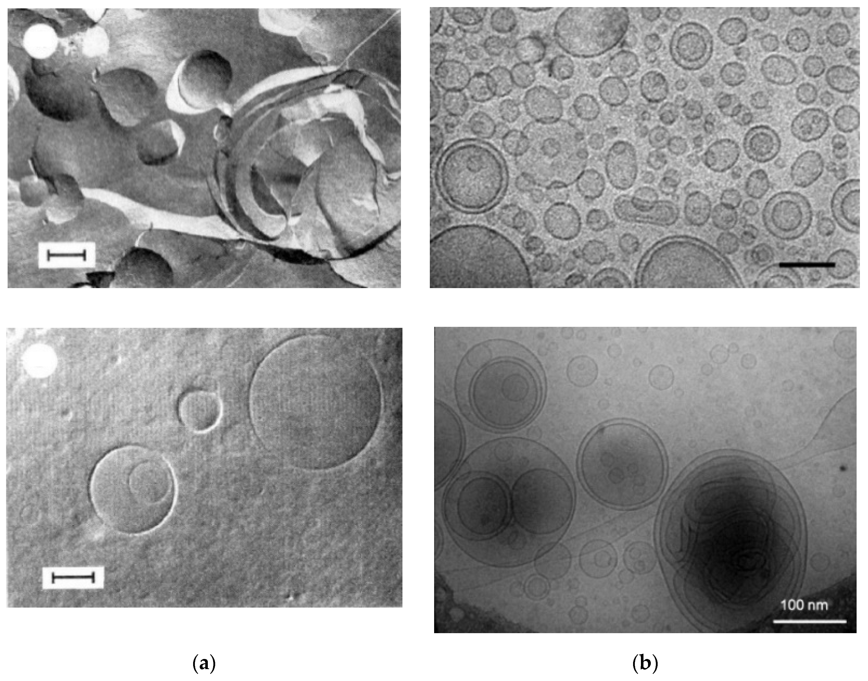 Applsci 11 10345 g005 Applsci 11 10345 g005