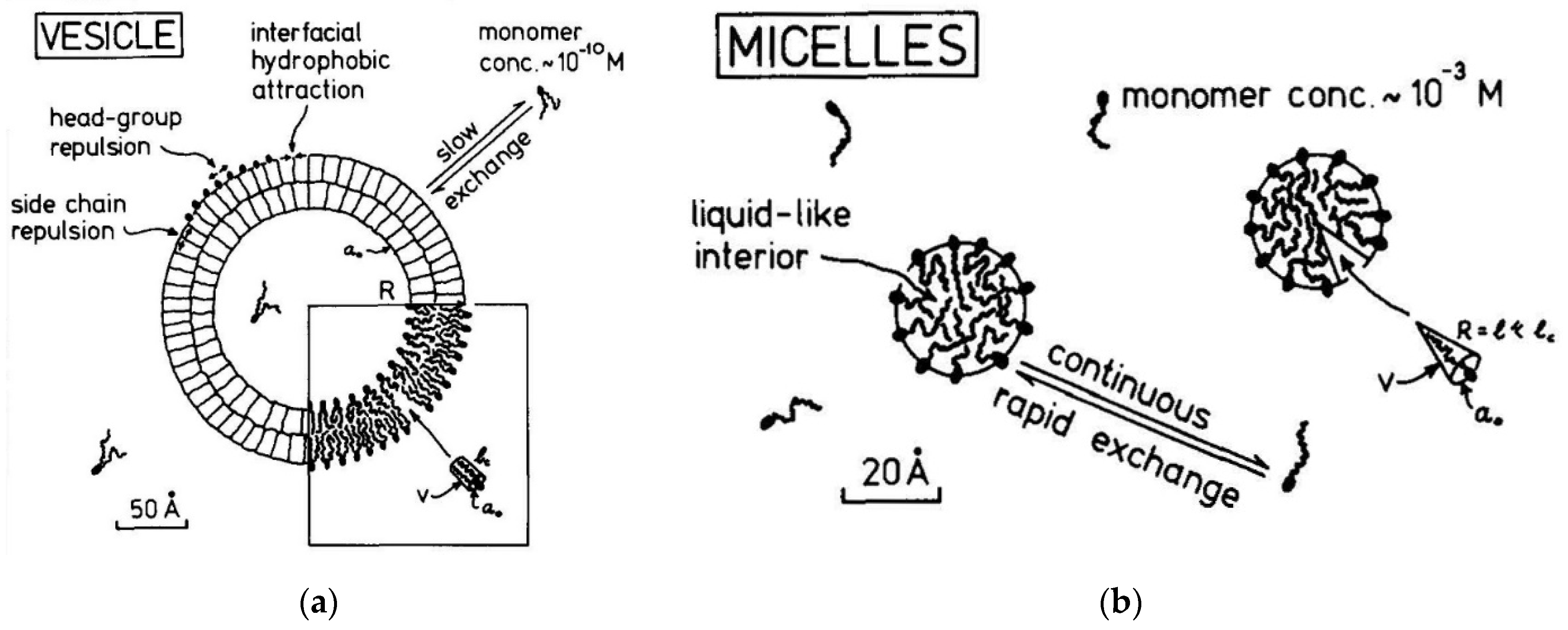 Applsci 11 10345 g015 Applsci 11 10345 g015