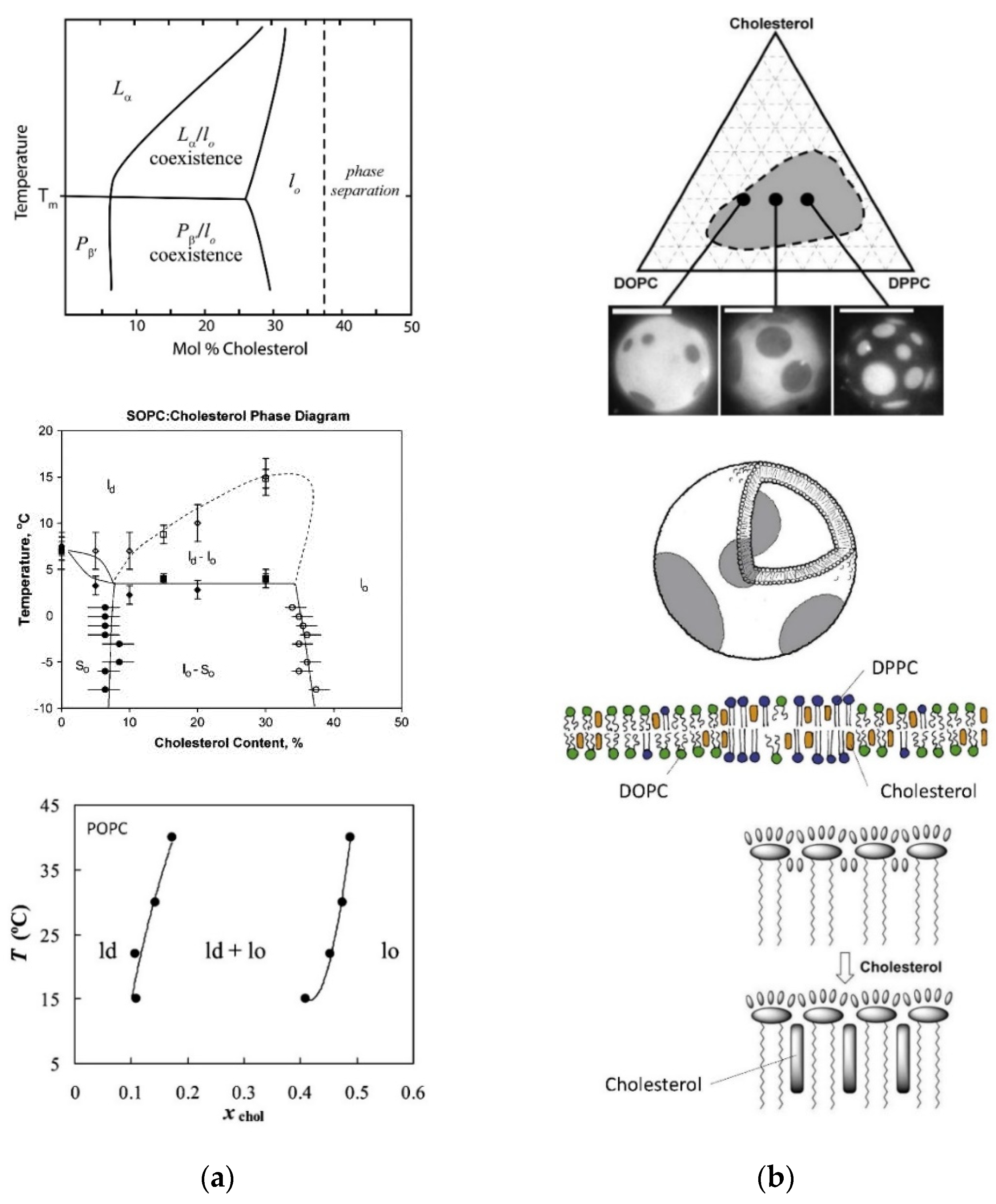 Applsci 11 10345 g024 Applsci 11 10345 g024