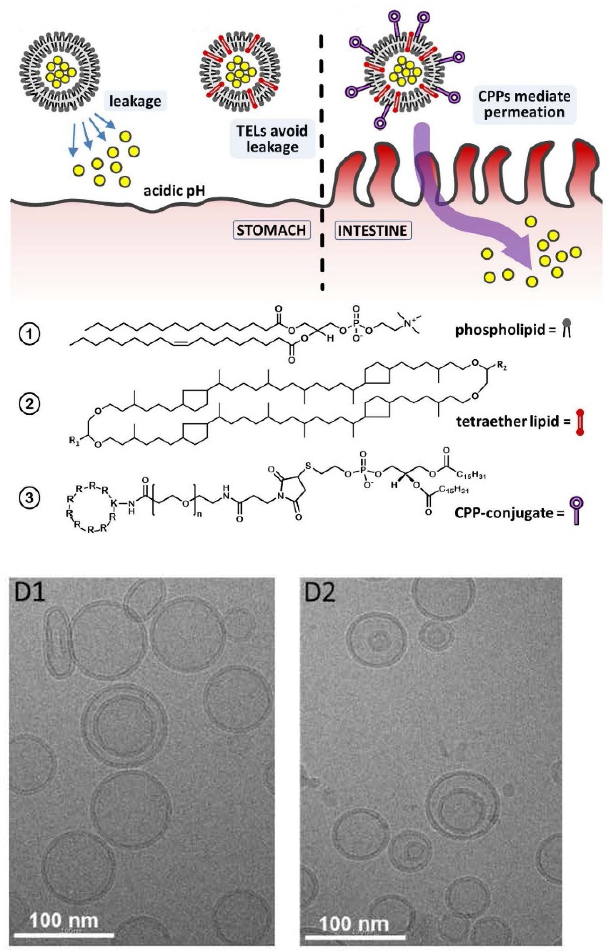 Applsci 11 10345 g032 Applsci 11 10345 g032