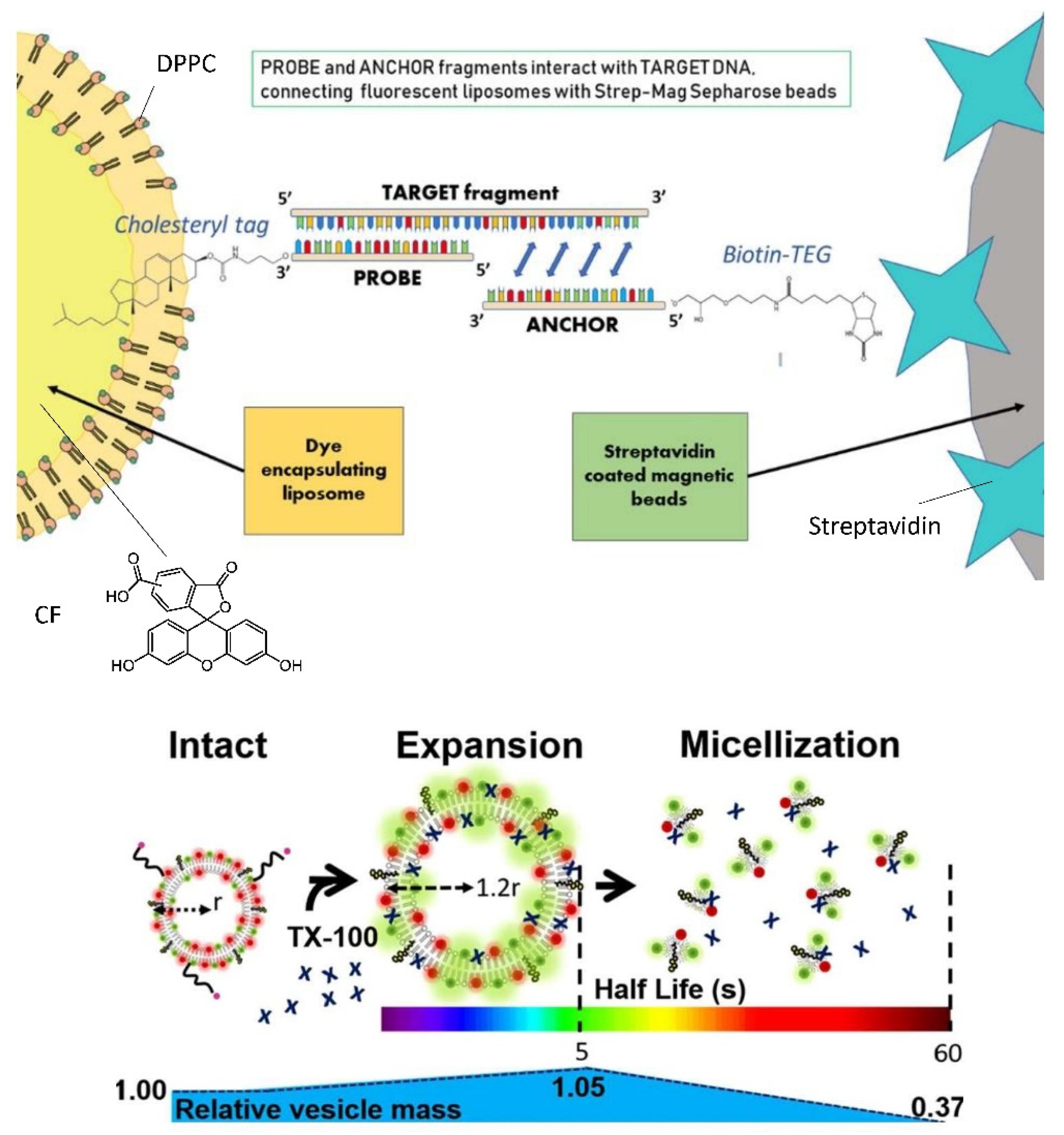 Applsci 11 10345 g033 Applsci 11 10345 g033