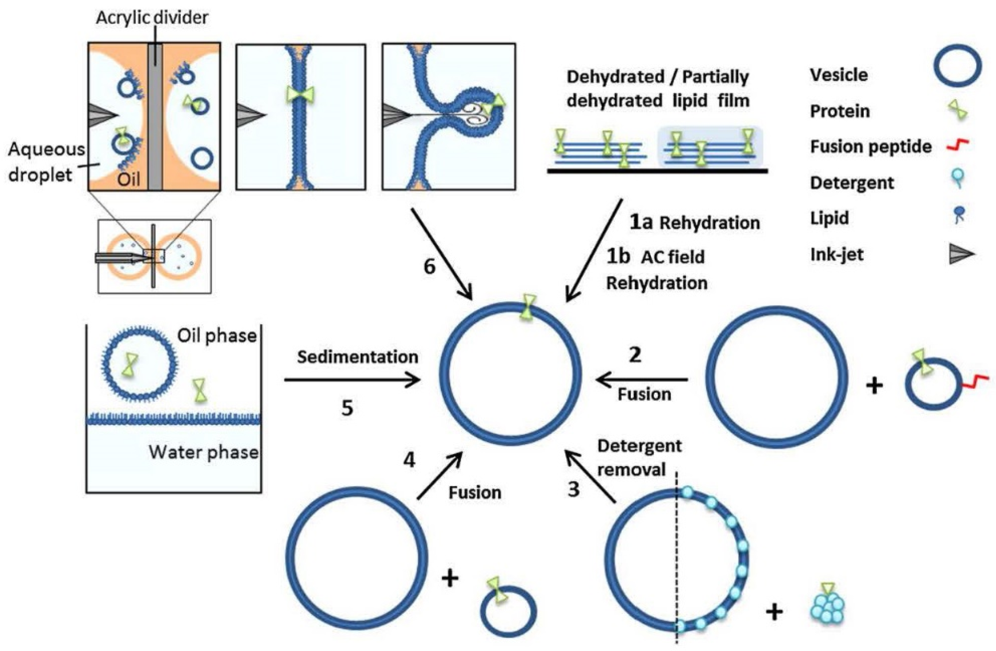 Applsci 11 10345 g039 Applsci 11 10345 g039