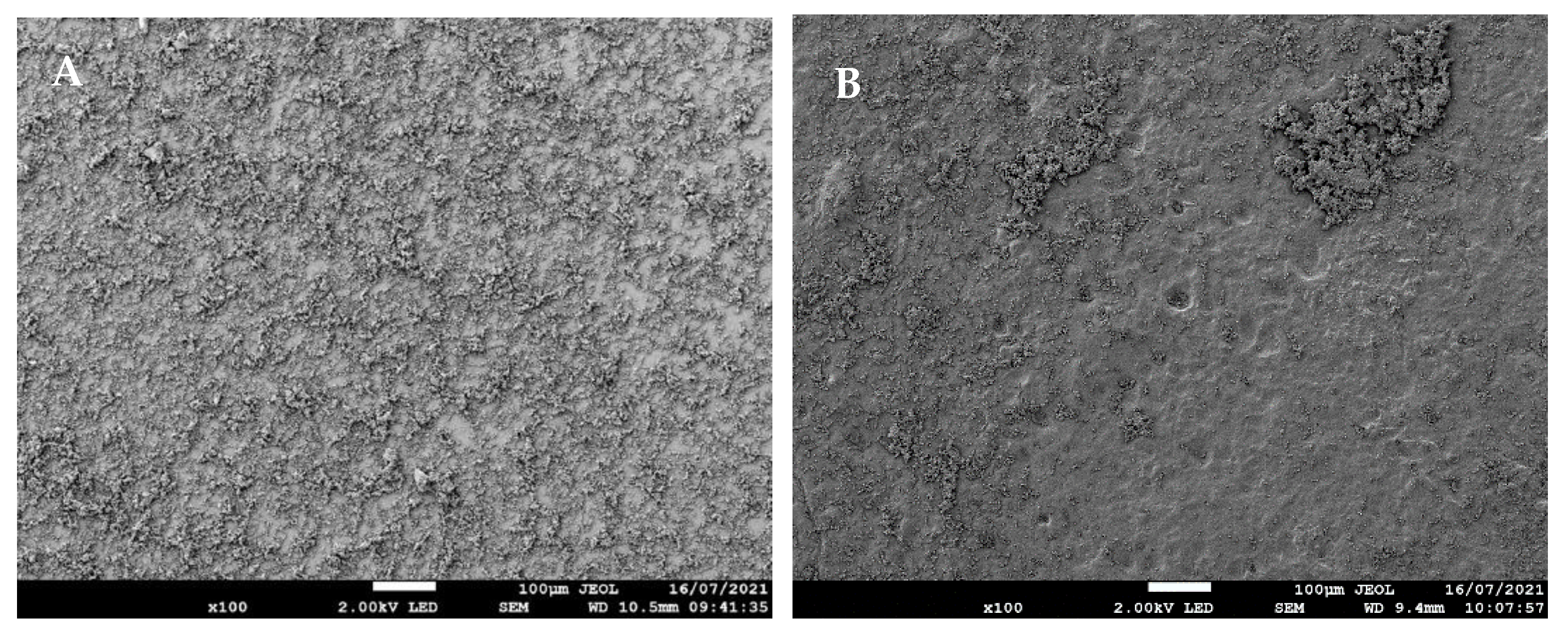 Applsci 11 10367 g003a Applsci 11 10367 g003a