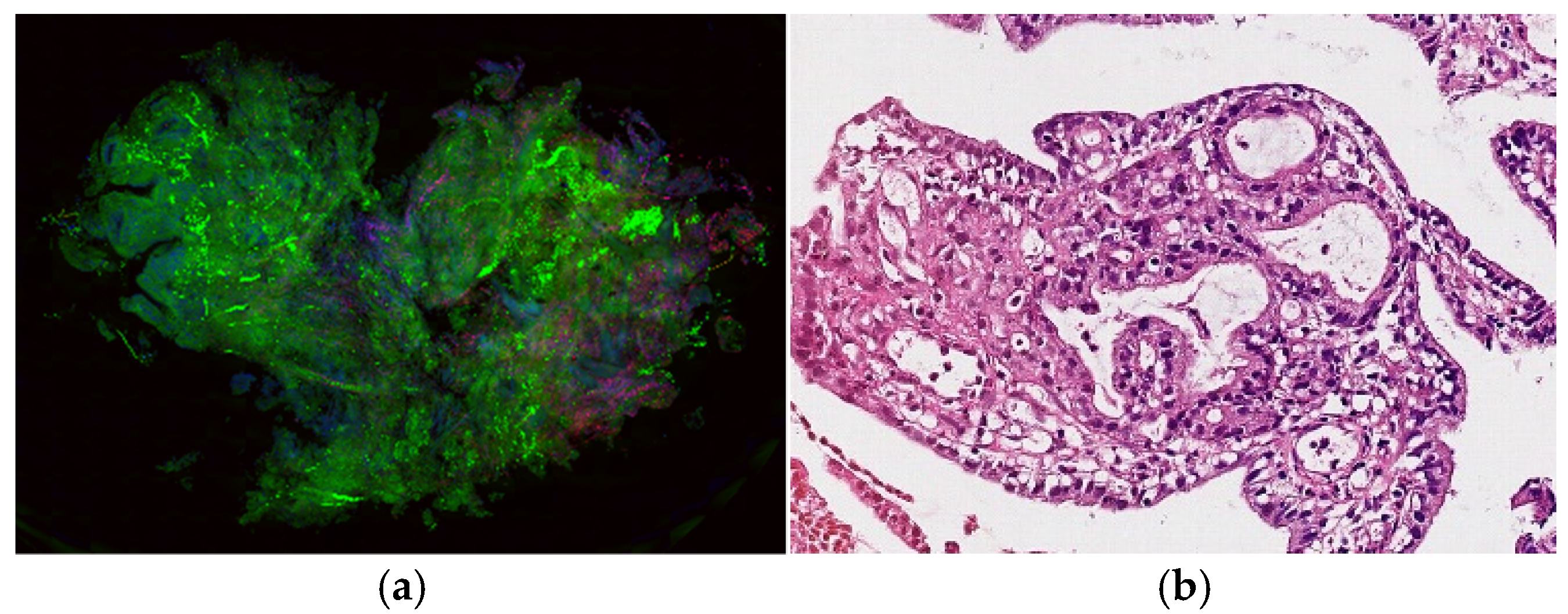 Applsci 11 10368 g002 550