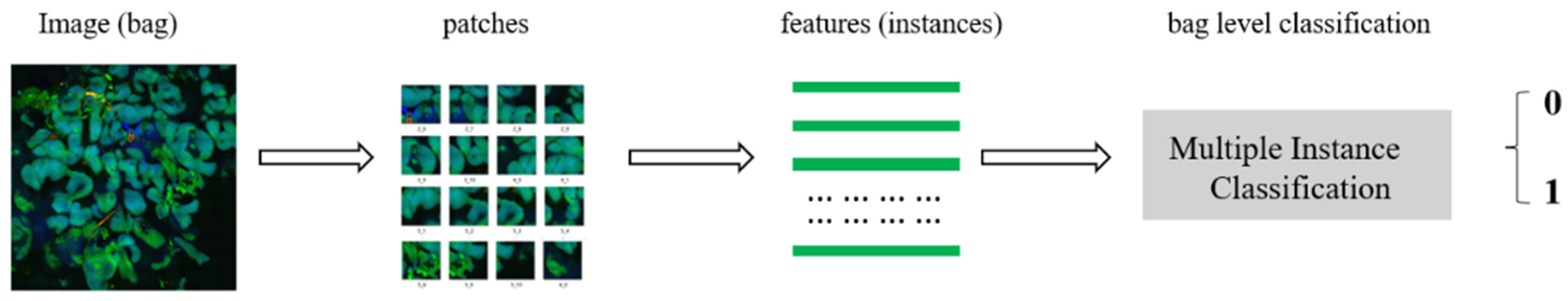 Applsci 11 10368 g003 550