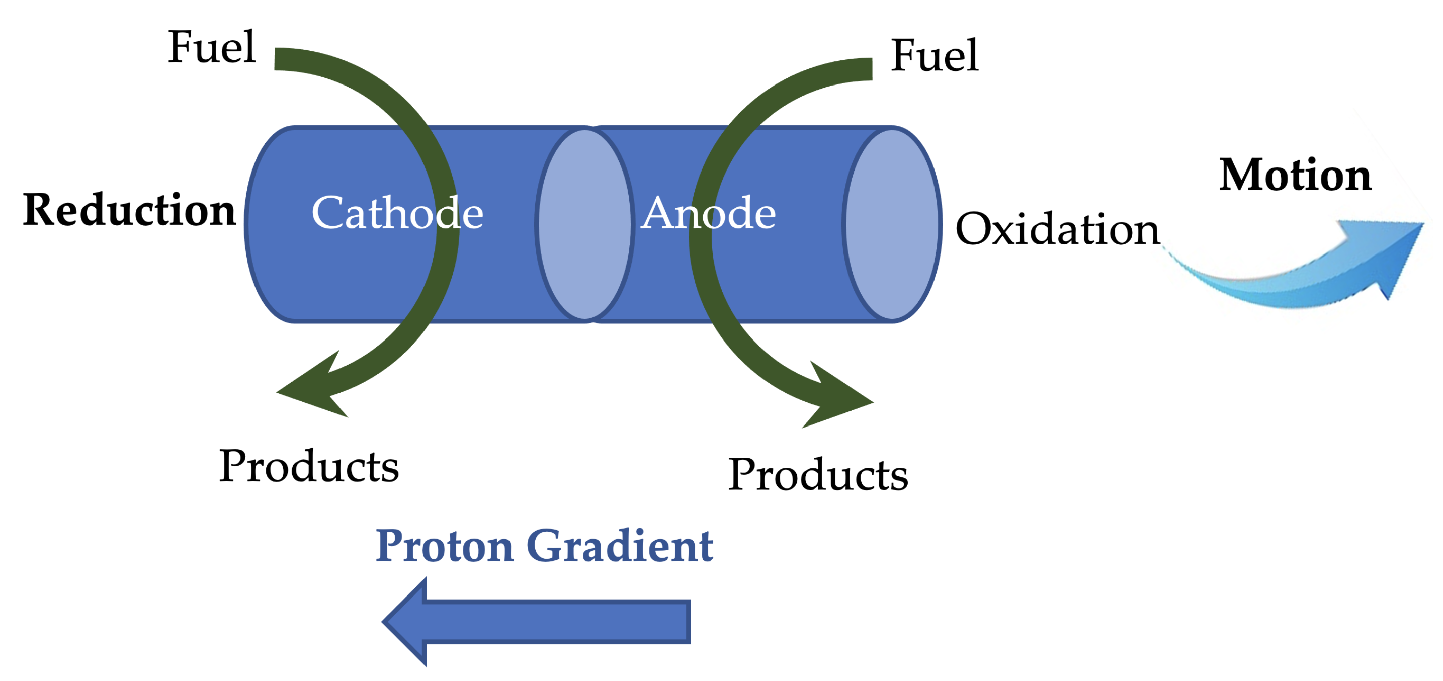Applsci 11 10385 g003