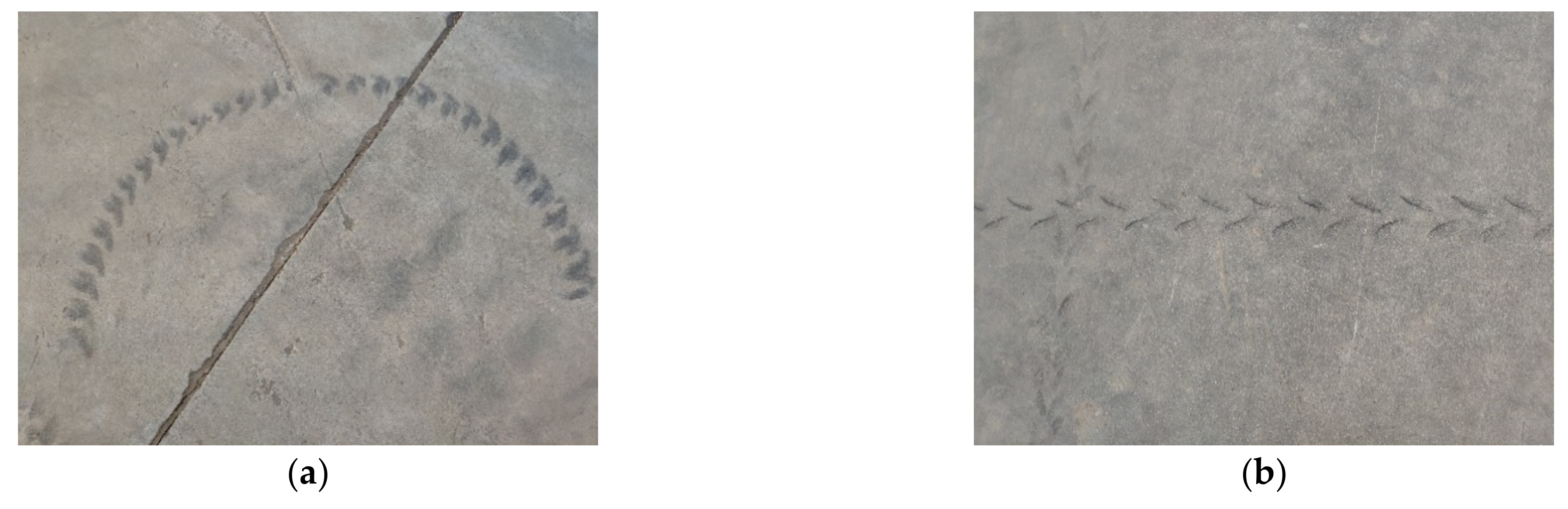 Applsci 11 10391 g011 550